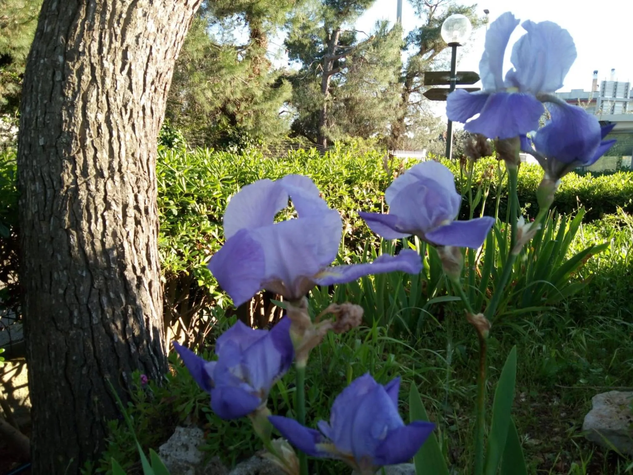 Garden in Raggio Di Sole