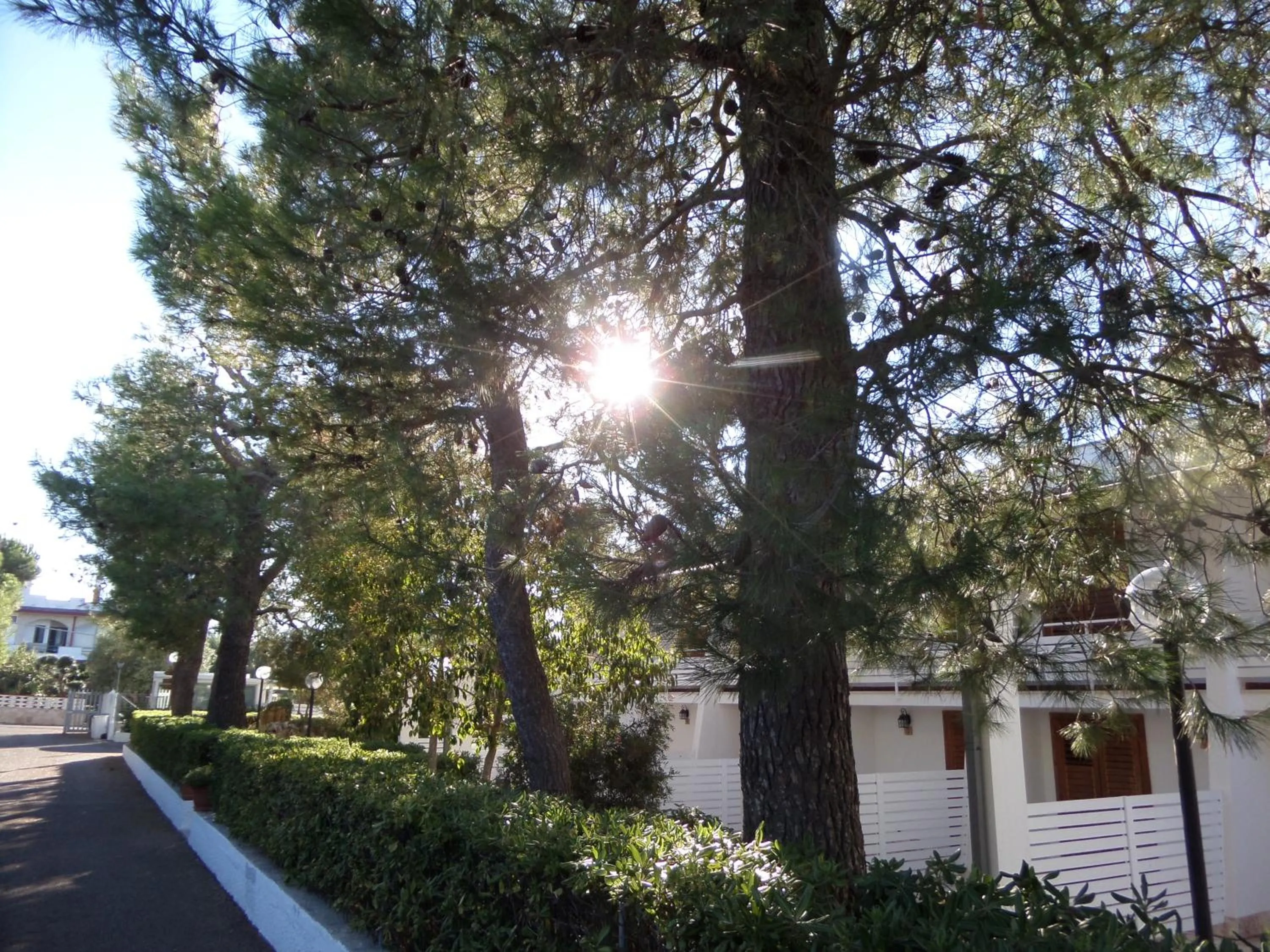 Property building in Raggio Di Sole