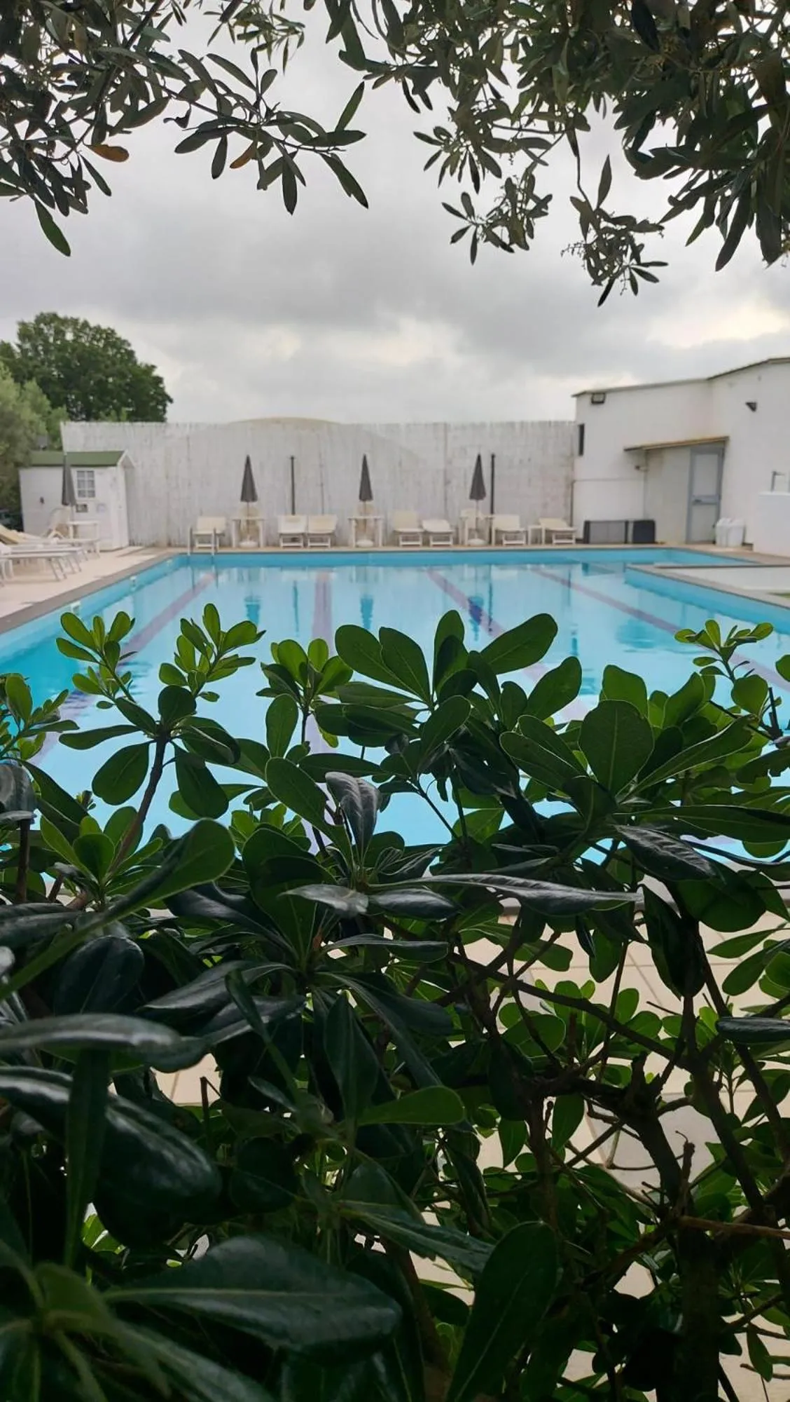 Pool view in Raggio Di Sole