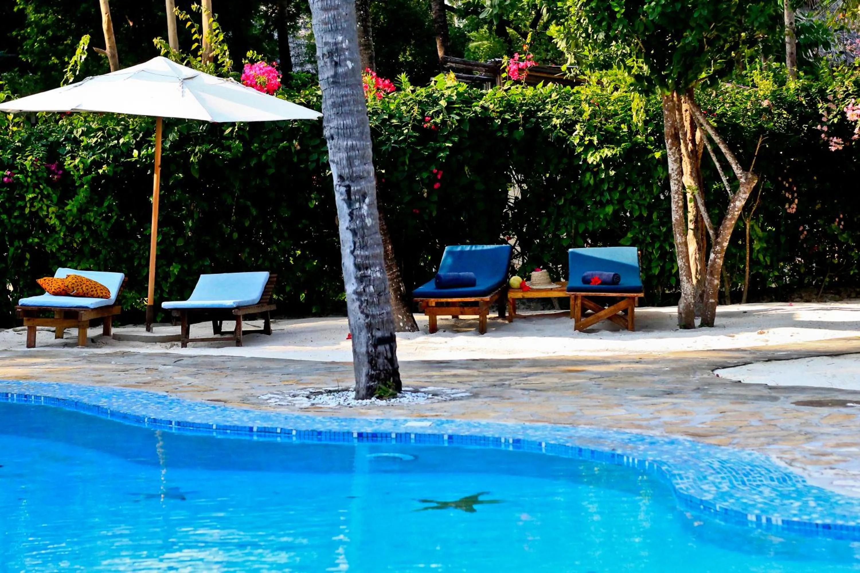 Swimming pool in Samaki Lodge & Spa