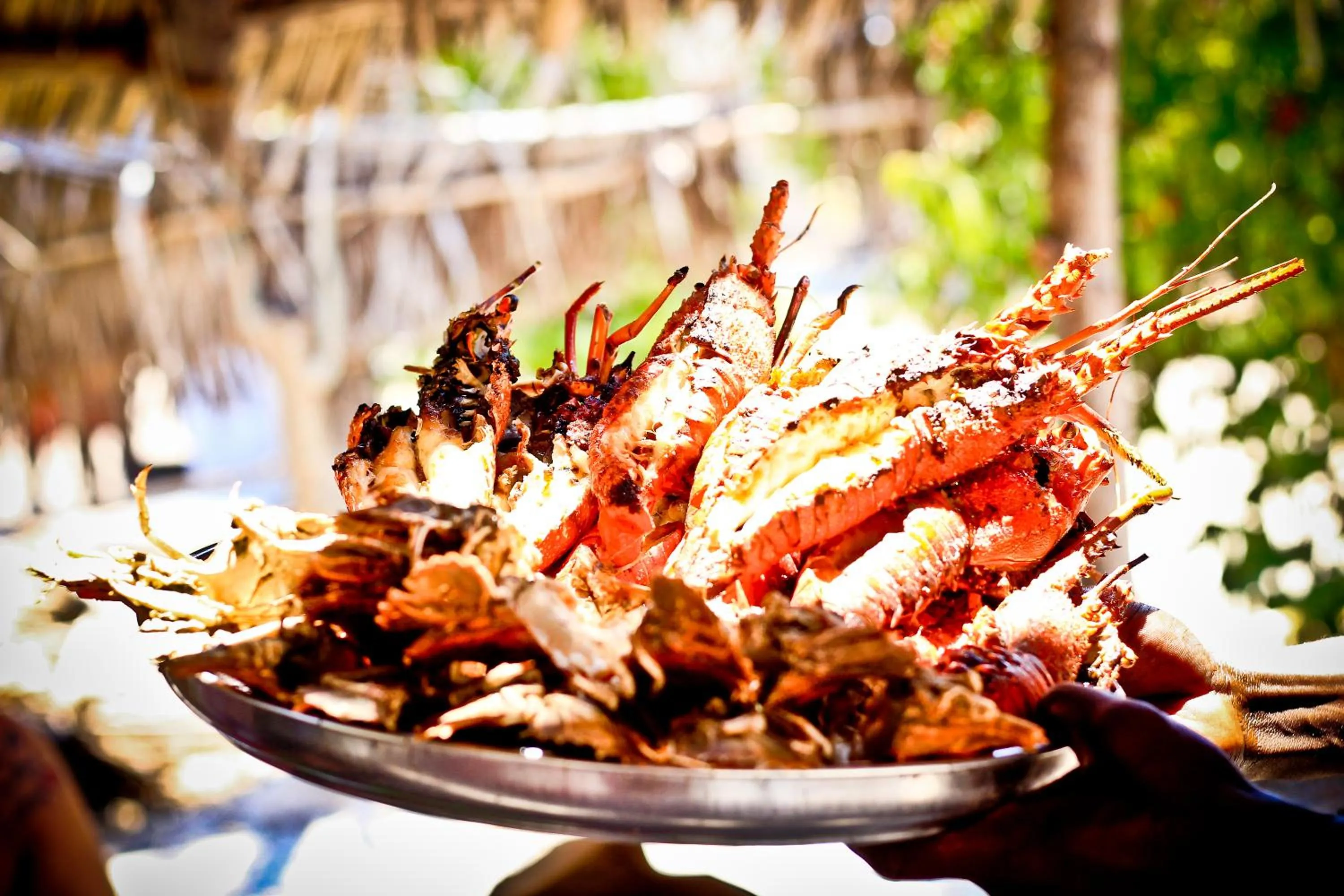 Food and drinks in Samaki Lodge & Spa