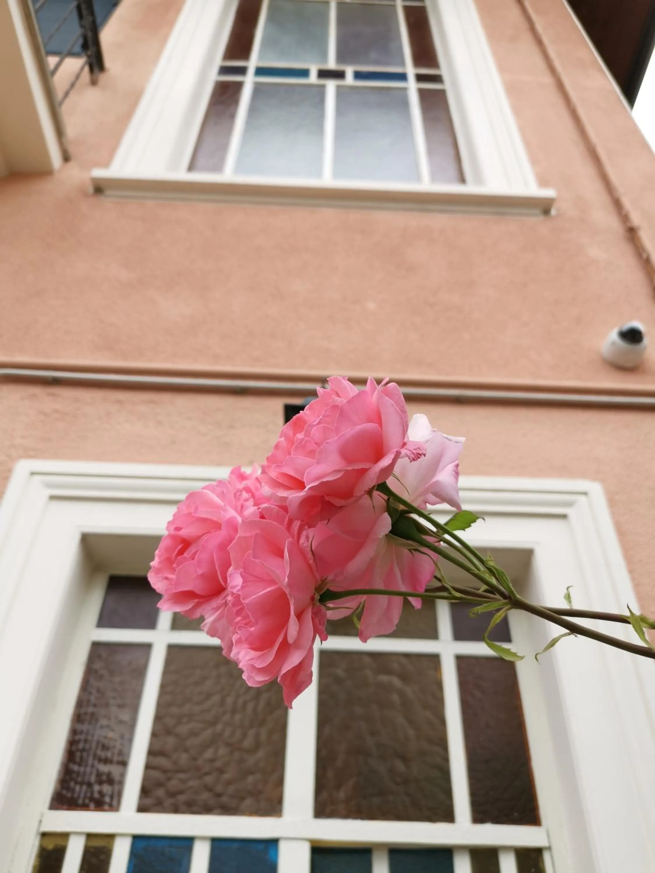 Day in B&B Ad Quintum Torino