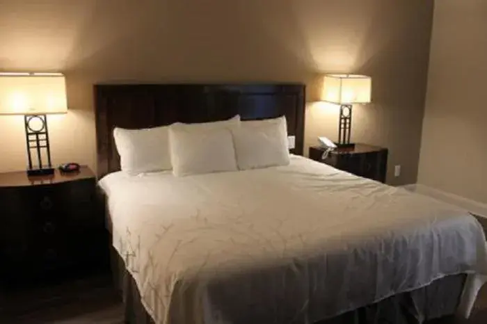 Superior King Room in Norwalk Inn & Conference Center Superior King Room in Norwalk Inn & Conference Center