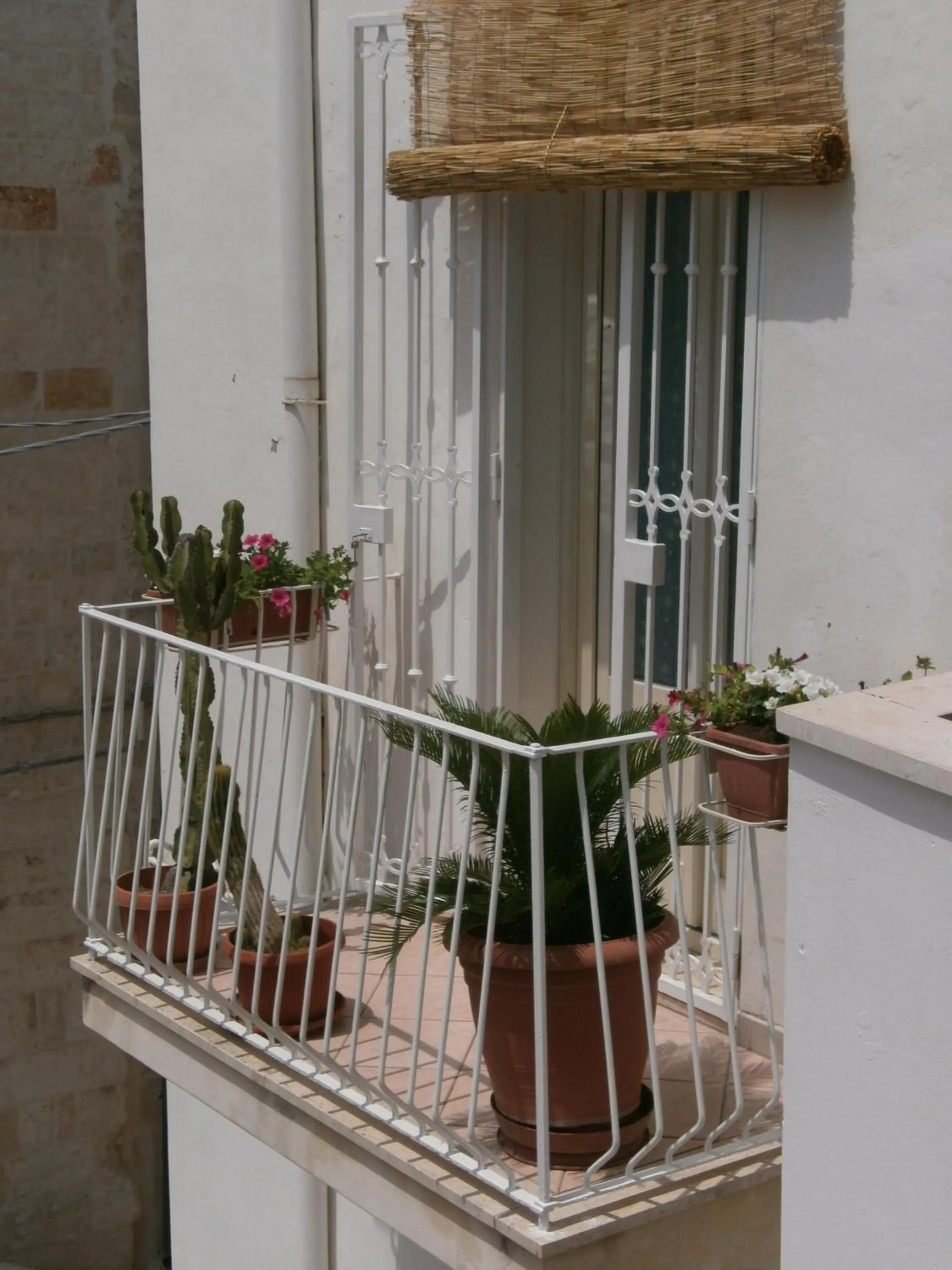 Property building in My House Suite