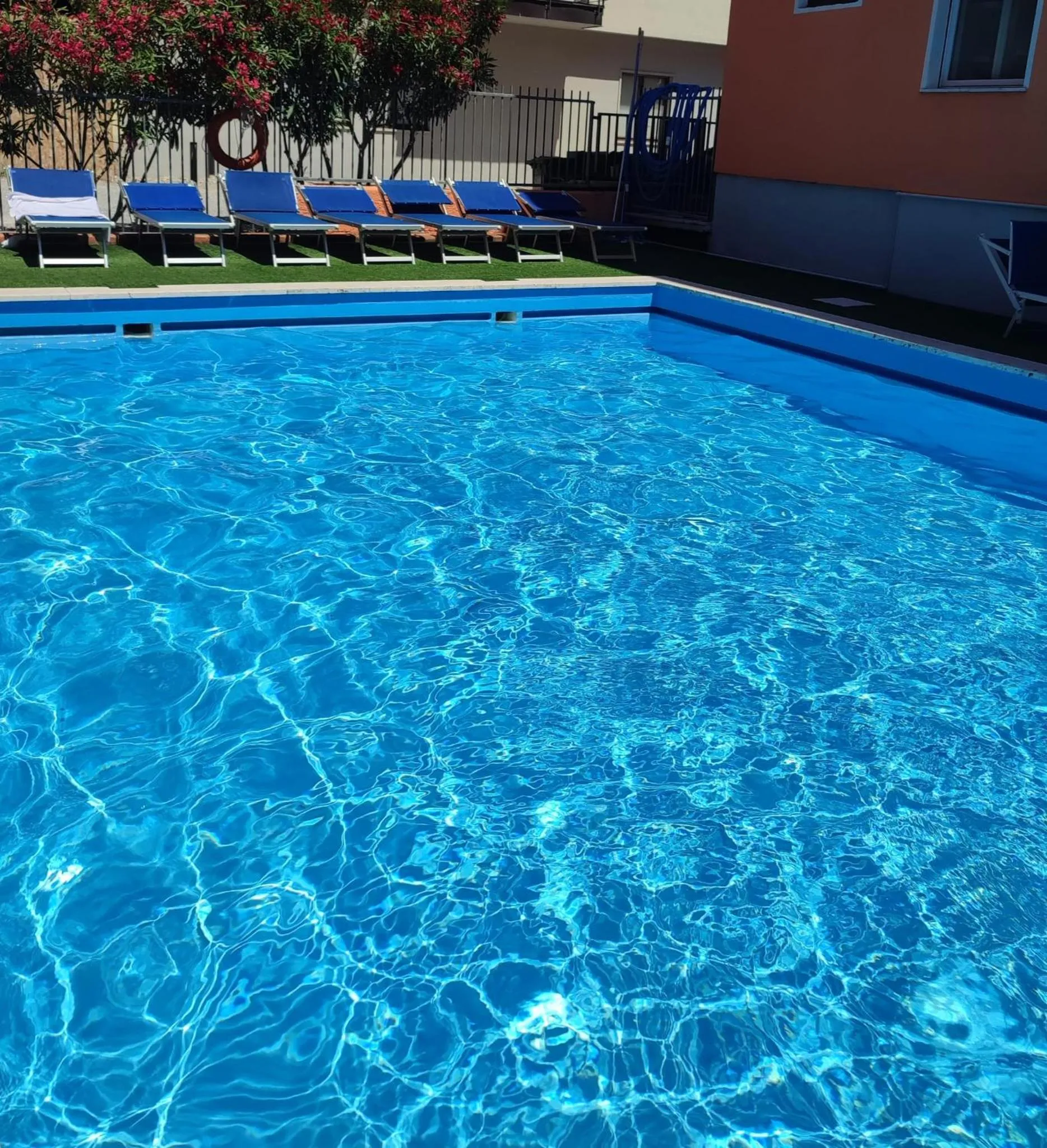 Garden in Albergo Villa Mimosa