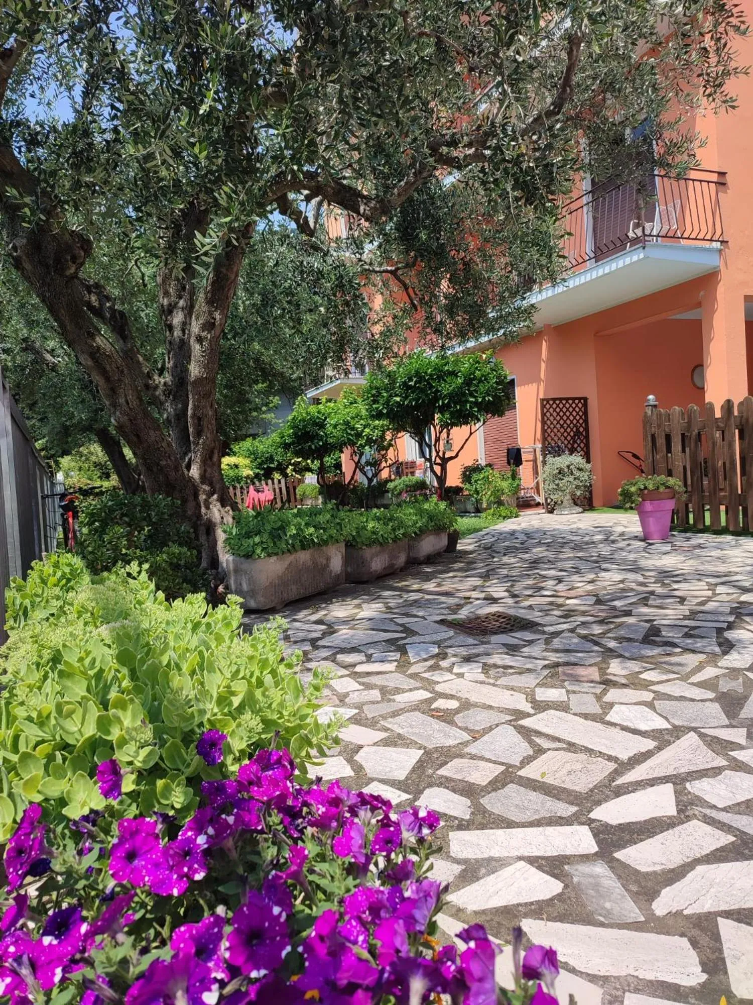 Garden in Albergo Villa Mimosa