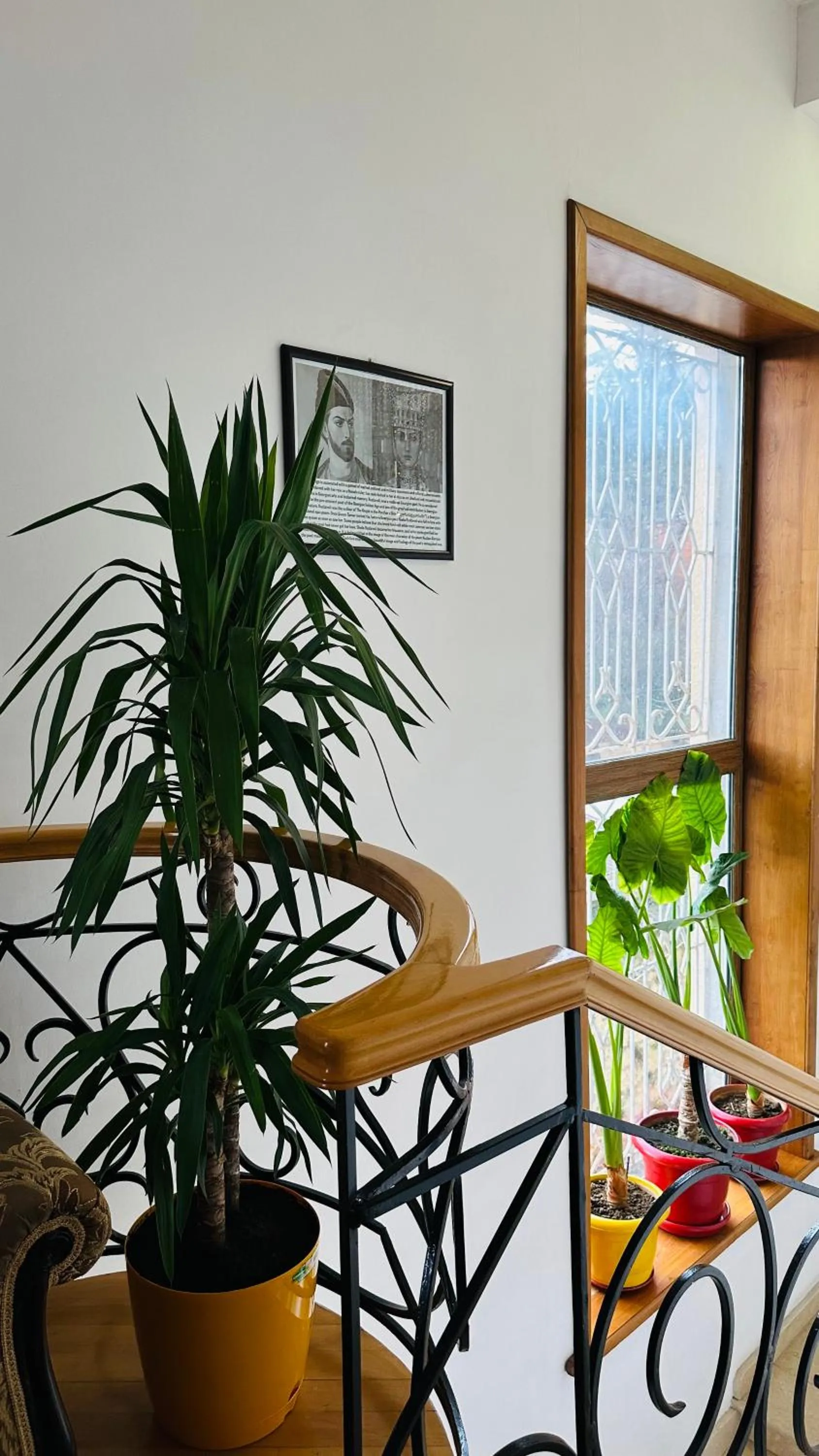 Property building in Hotel Tamar Mepe