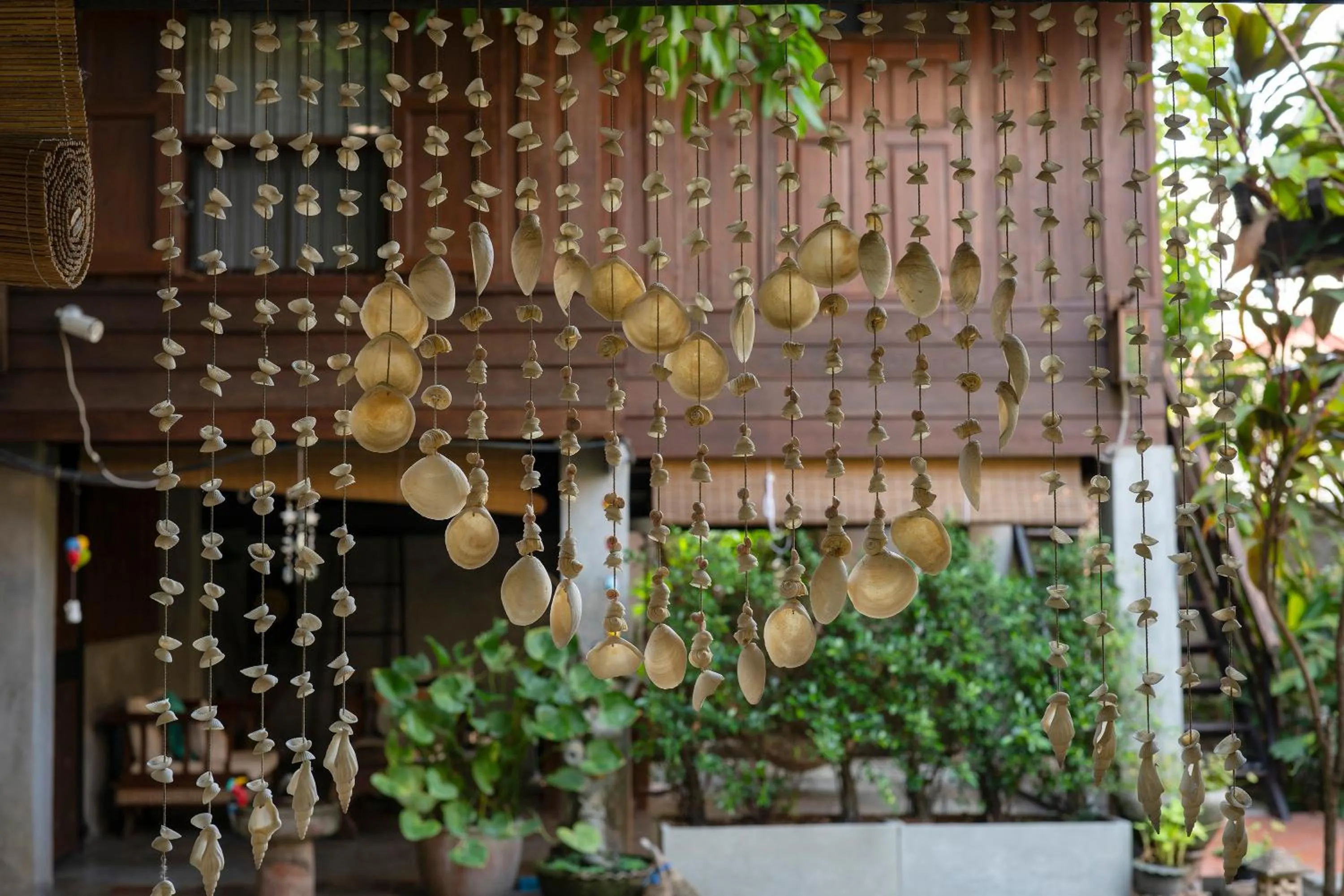 Garden view in Chiang Mai Summer Resort