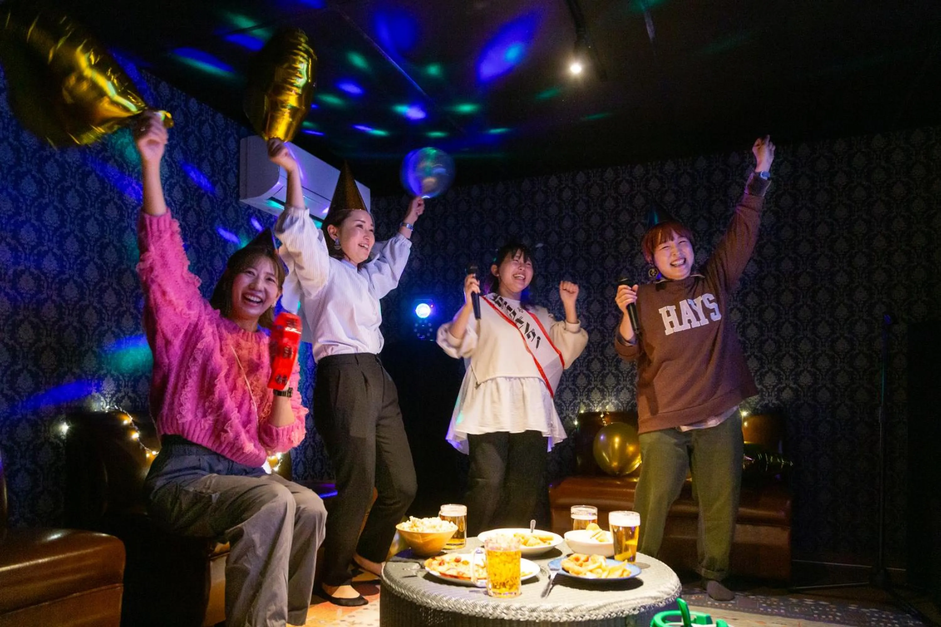 Karaoke in 庭之宿 新大阪日本庭園の家 -Residence inn Niwanoyado-