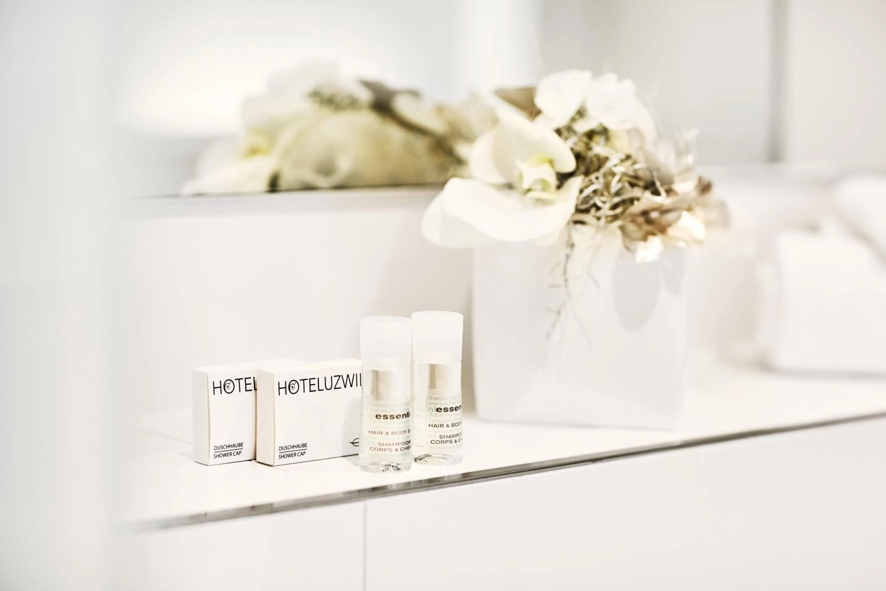 Photo of the whole room in Hotel Schäfli