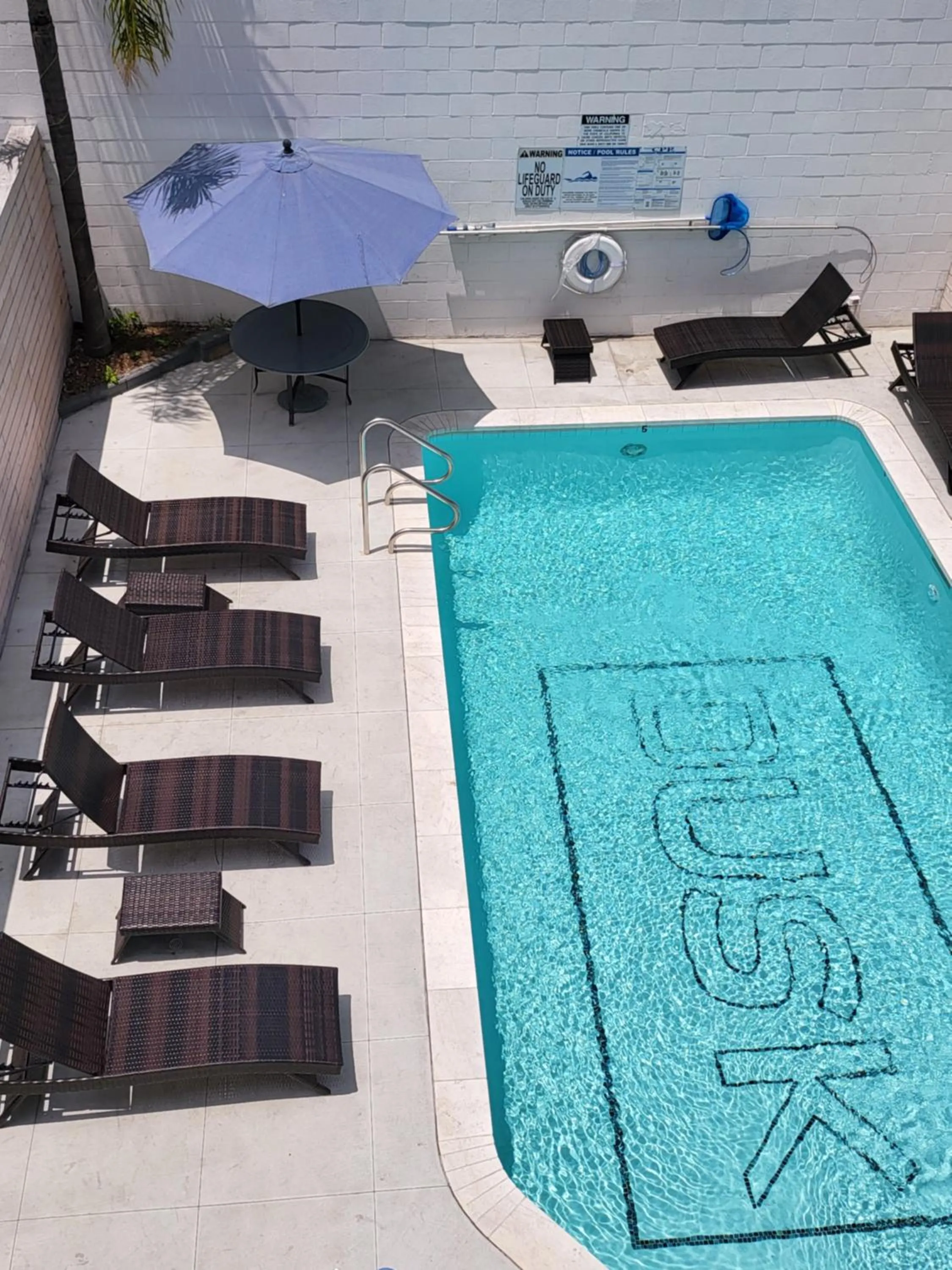 Swimming pool, Pool View in Dusk Hotel Hollywood