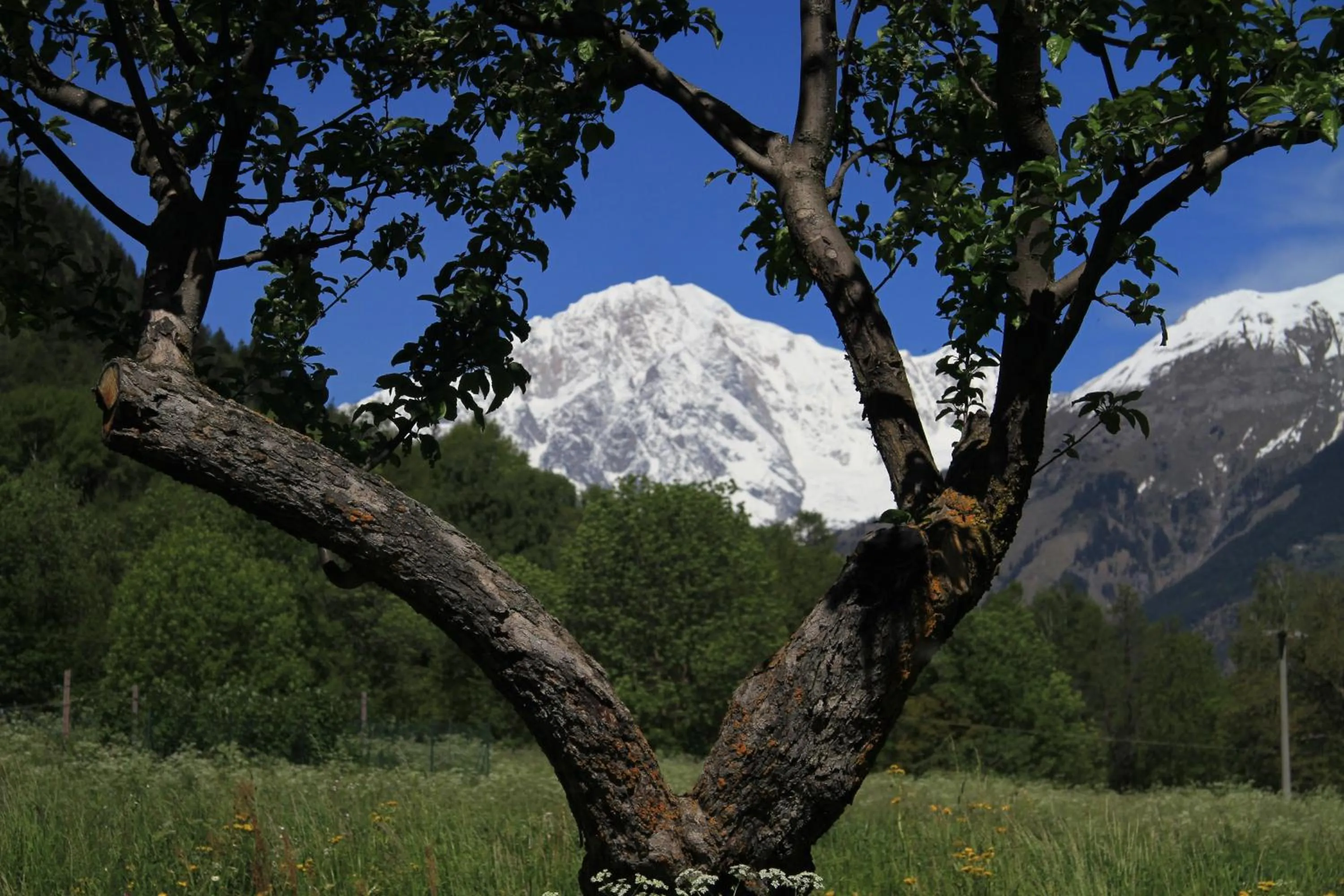 Day in Le Petit Coeur Residence De Montagne