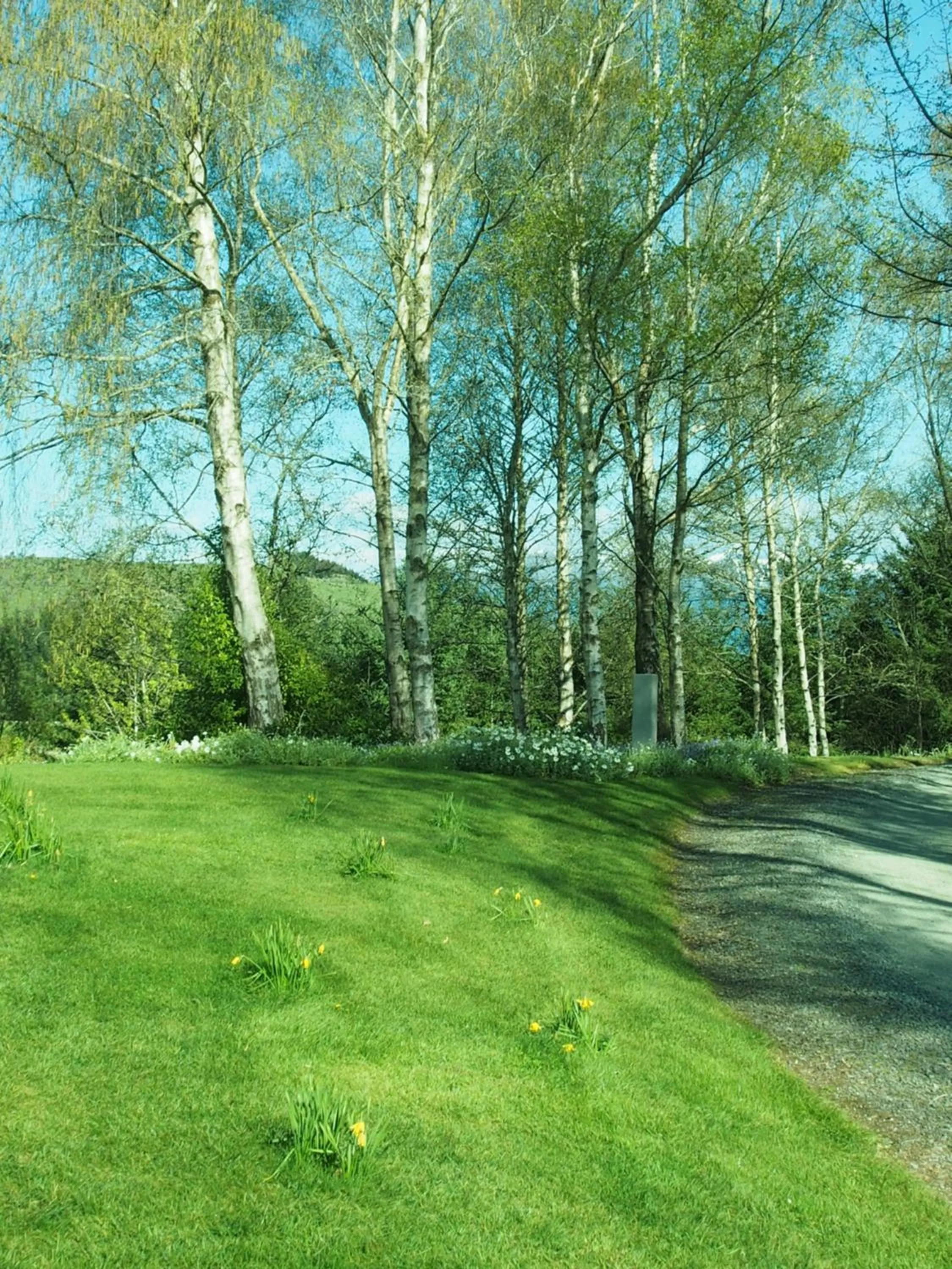 The Garden Room at Te Anau Country Accommodation