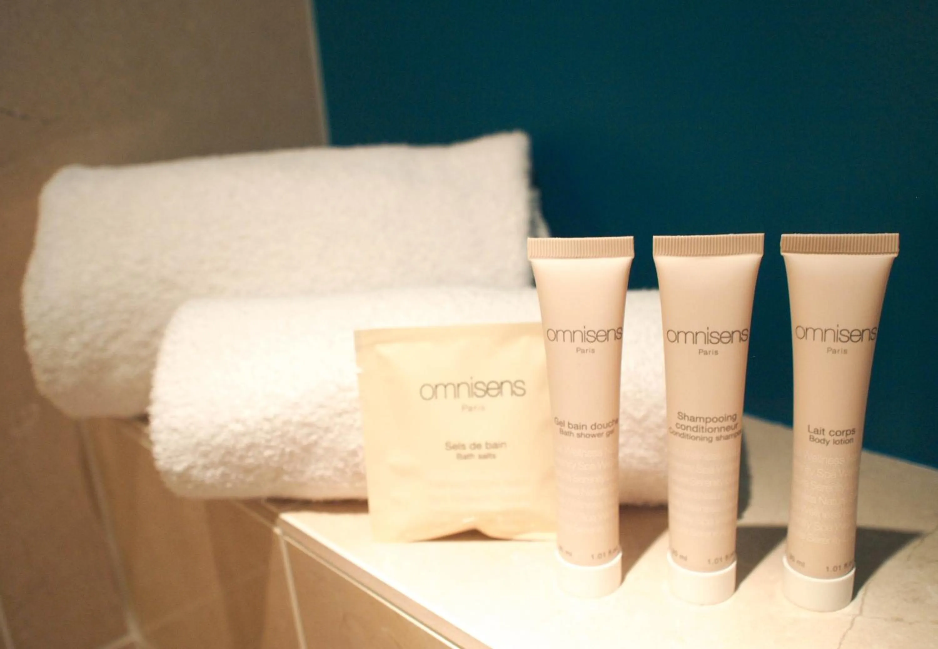 Area and facilities in Mercure Angers Centre Gare