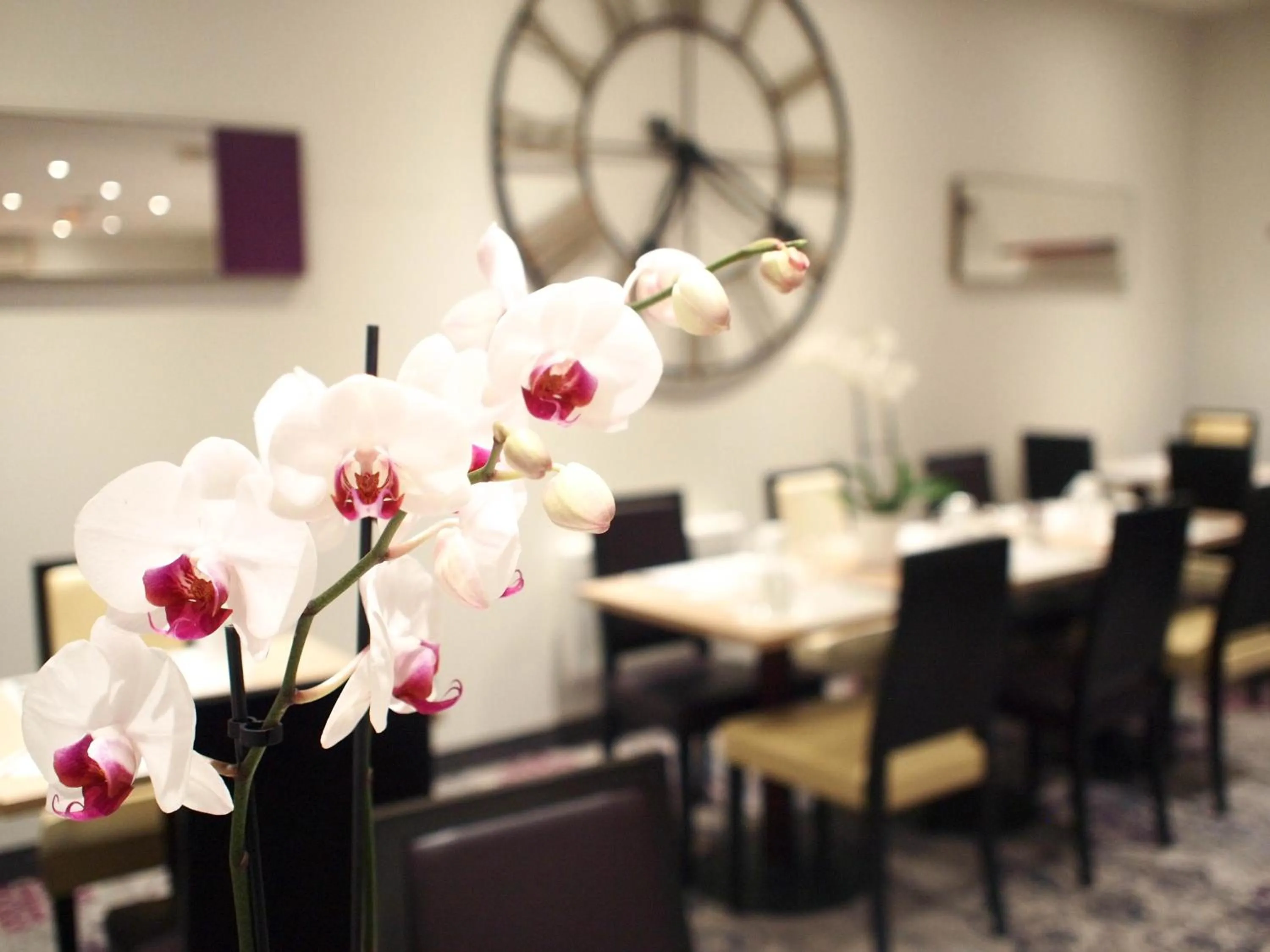 Area and facilities in Mercure Angers Centre Gare