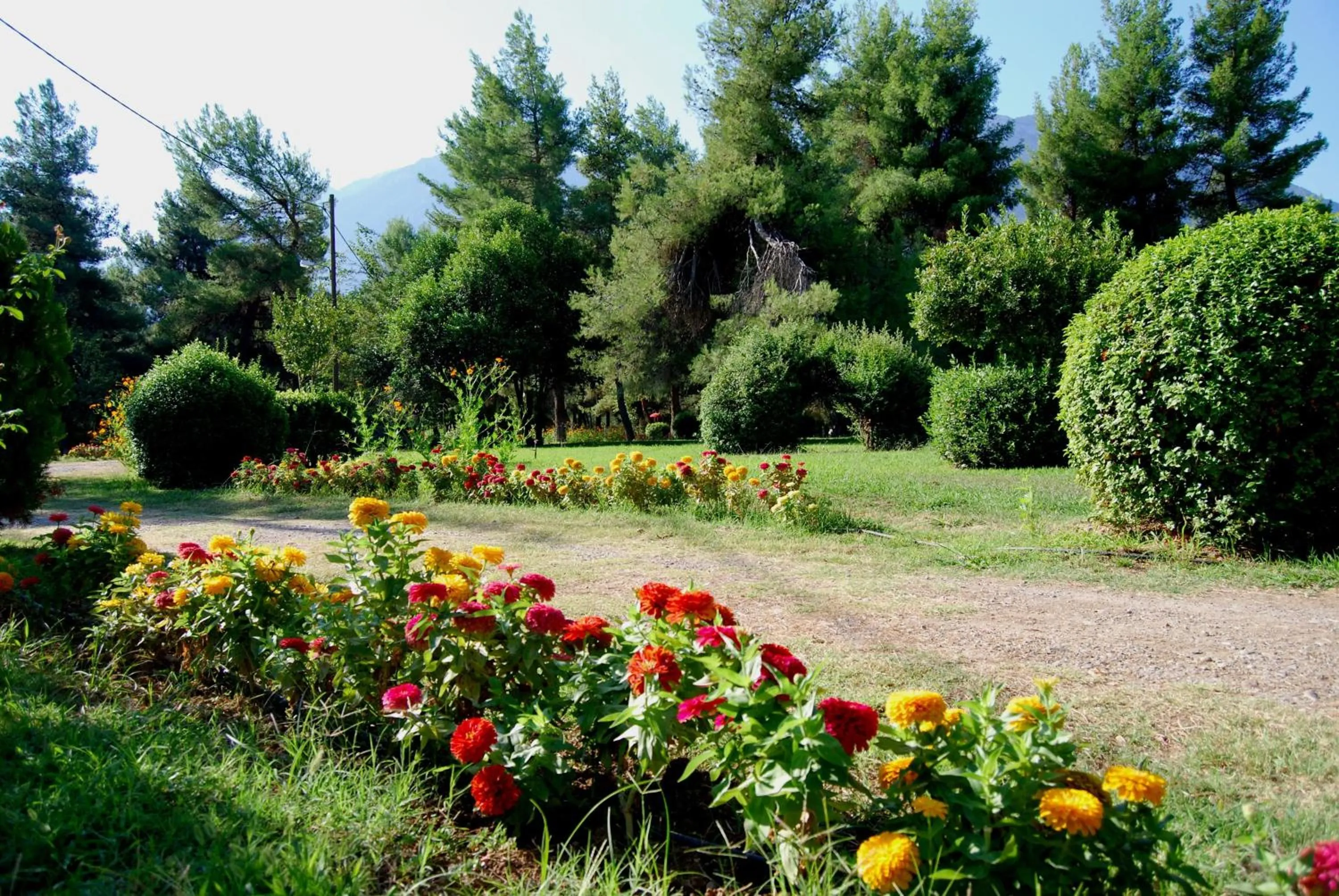 Natural landscape in Alexakis Hotel & Spa