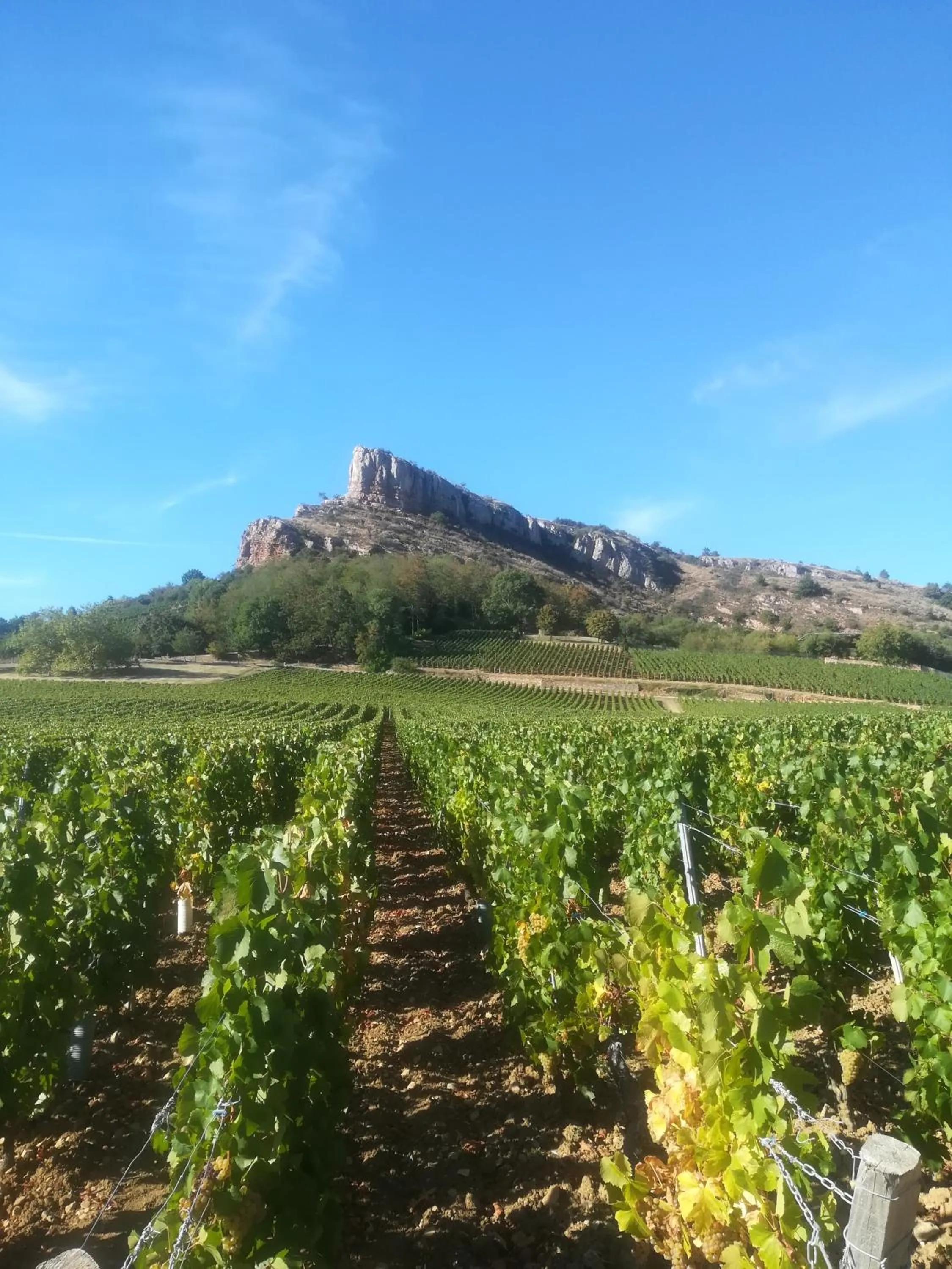 Bird's eye view in Première Classe Mâcon Sud