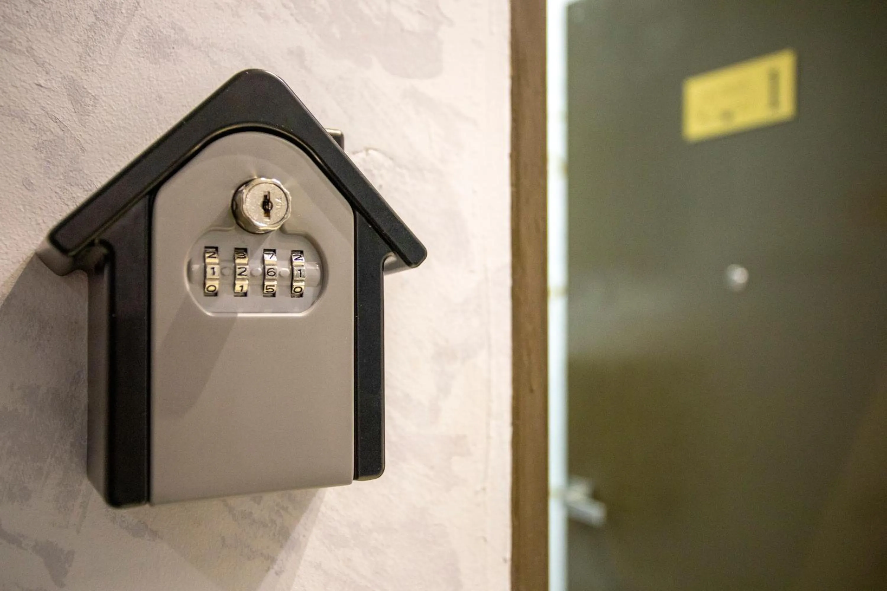 Lazy Cat Home At Gaya Street