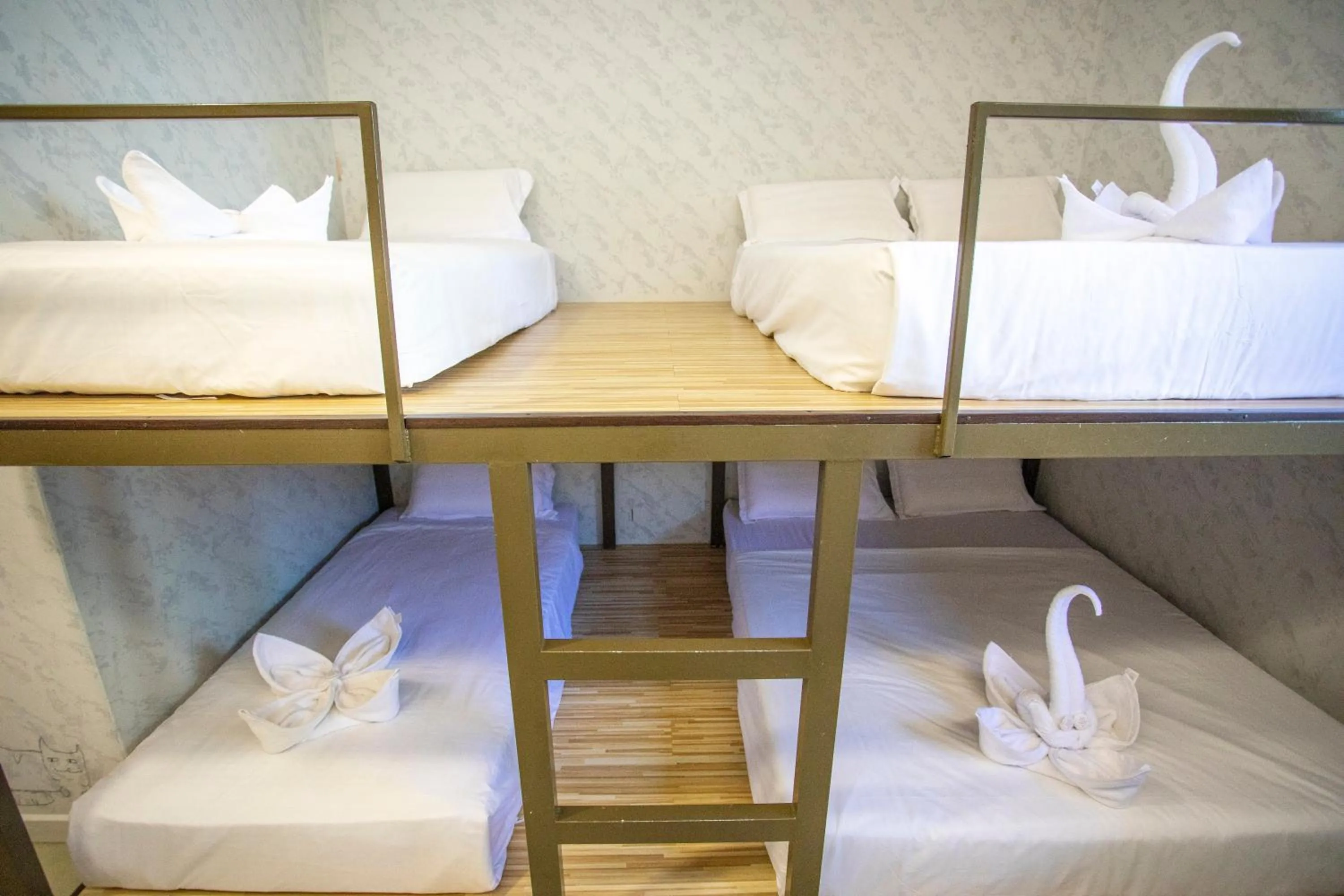 Lazy Cat Home At Gaya Street