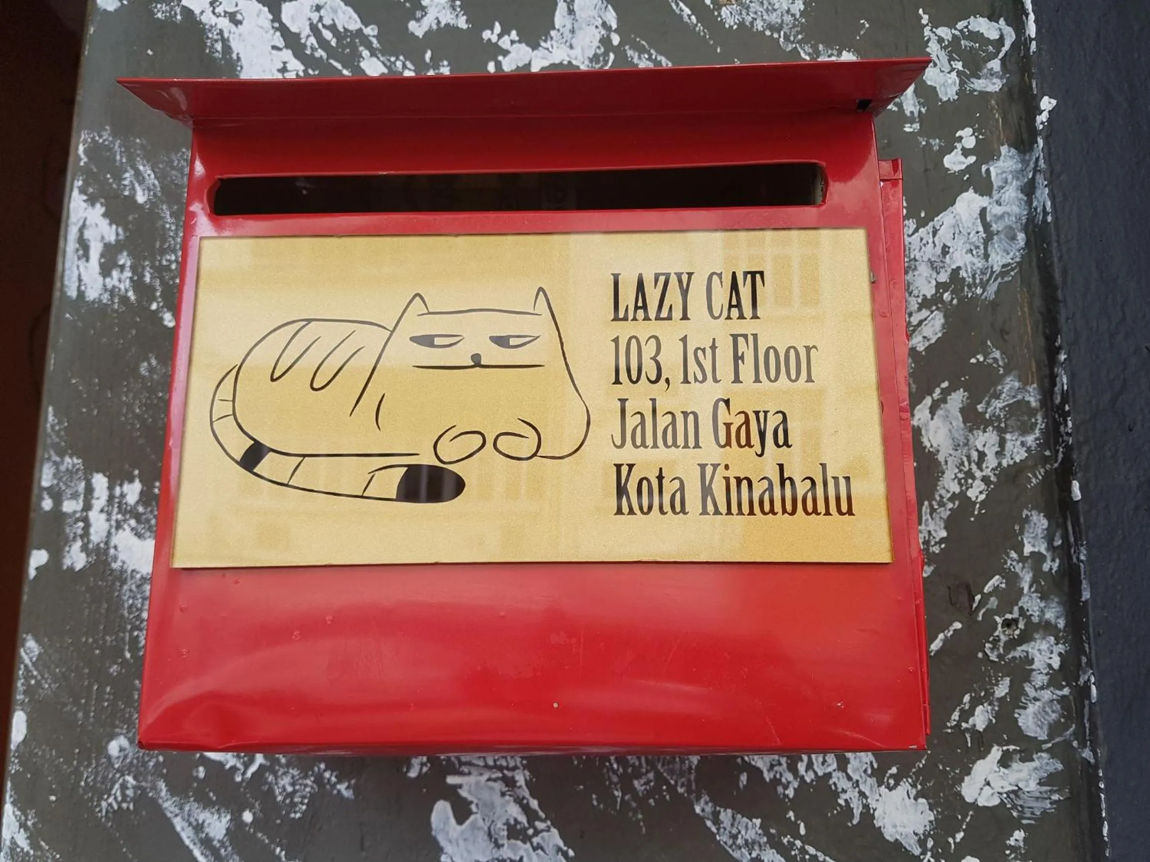 Lazy Cat Home At Gaya Street