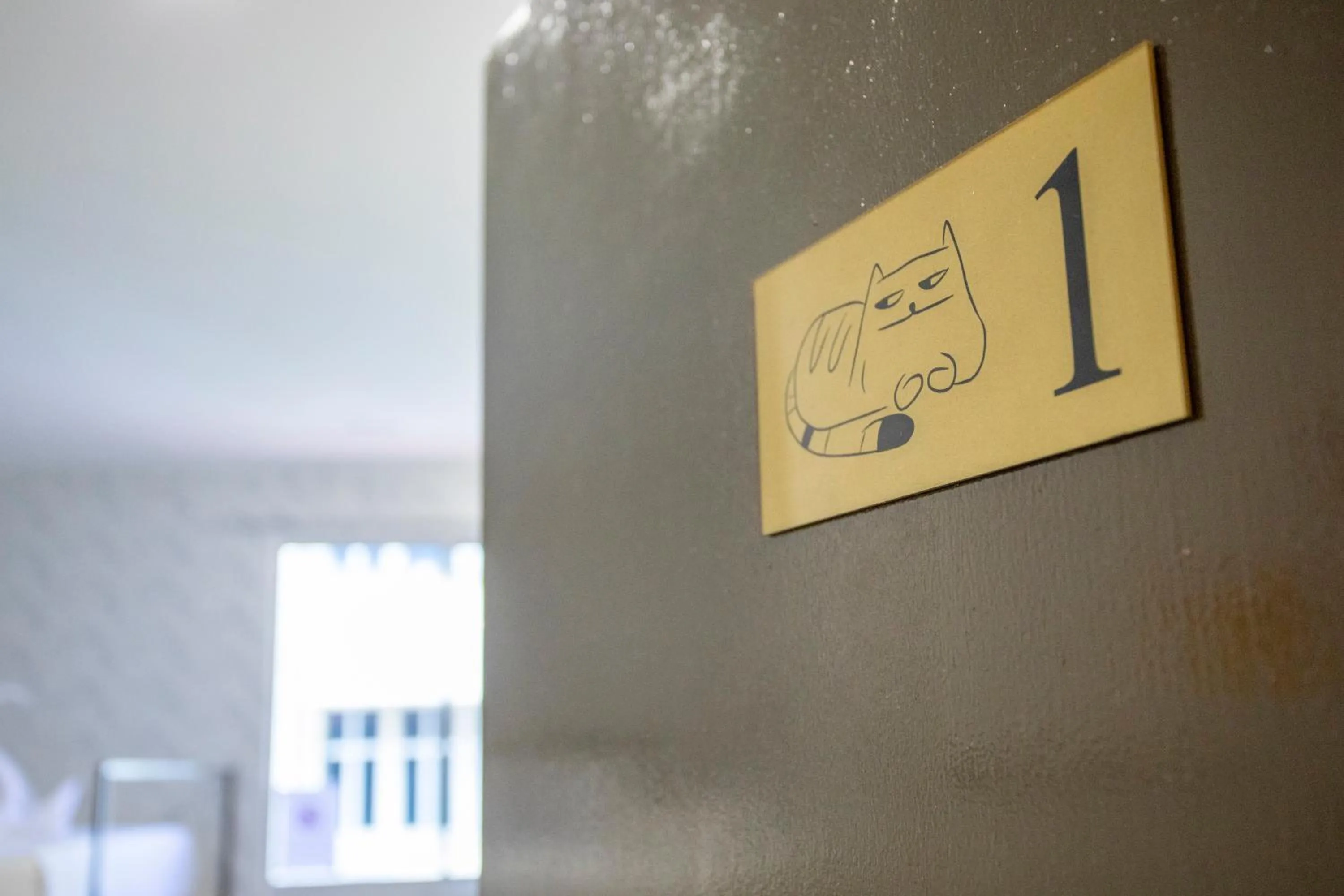 Lazy Cat Home At Gaya Street