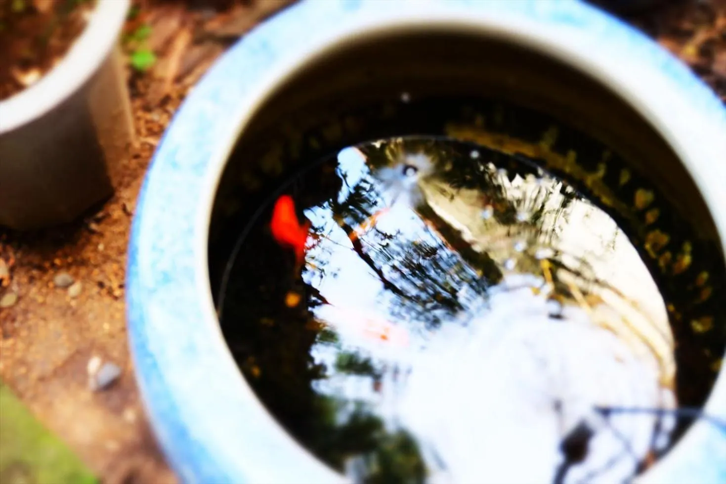 Hotel Sumire ふぐ料理を愉しむ料理宿