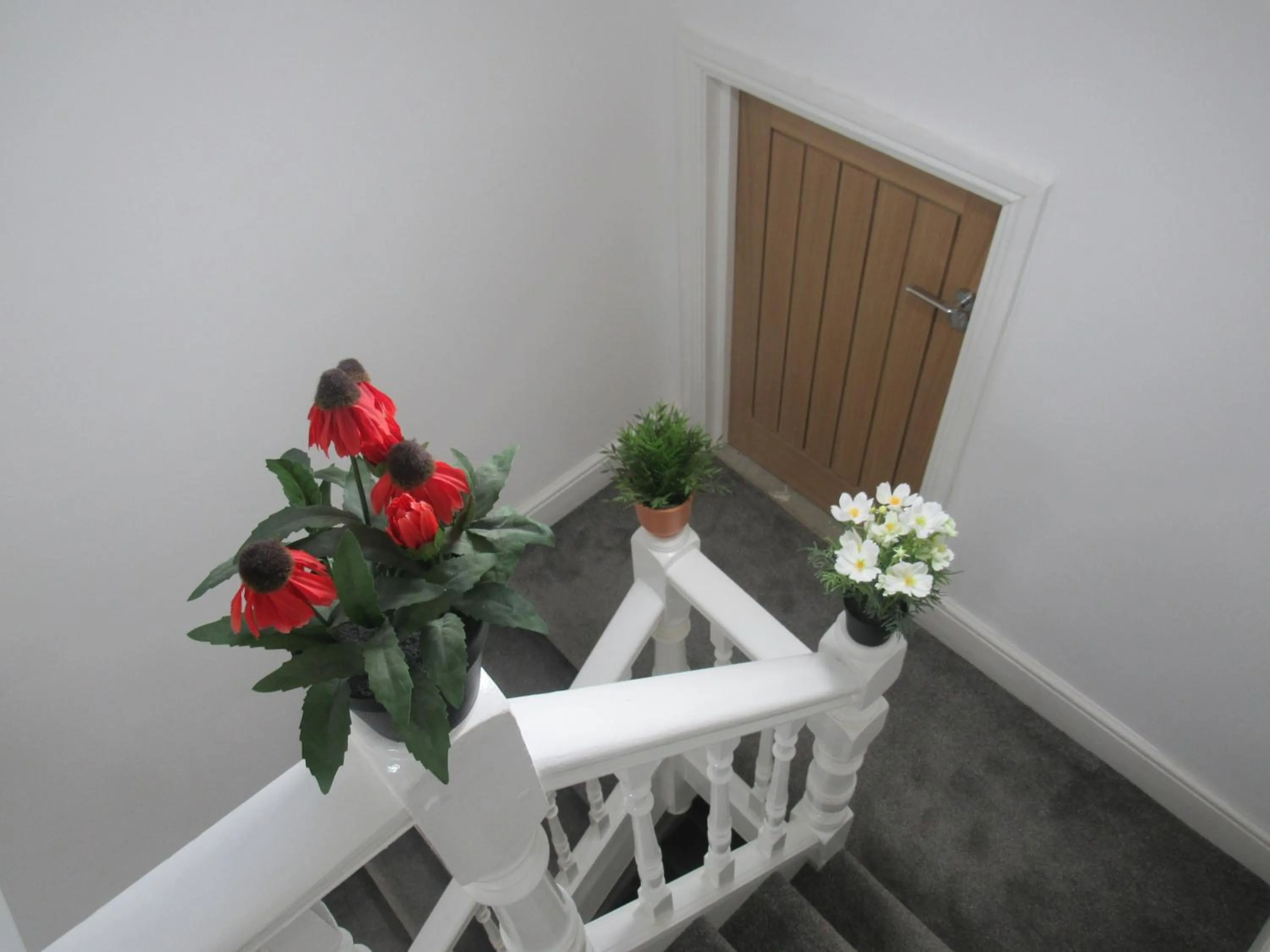 The Tas Suites - Tas Accommodations