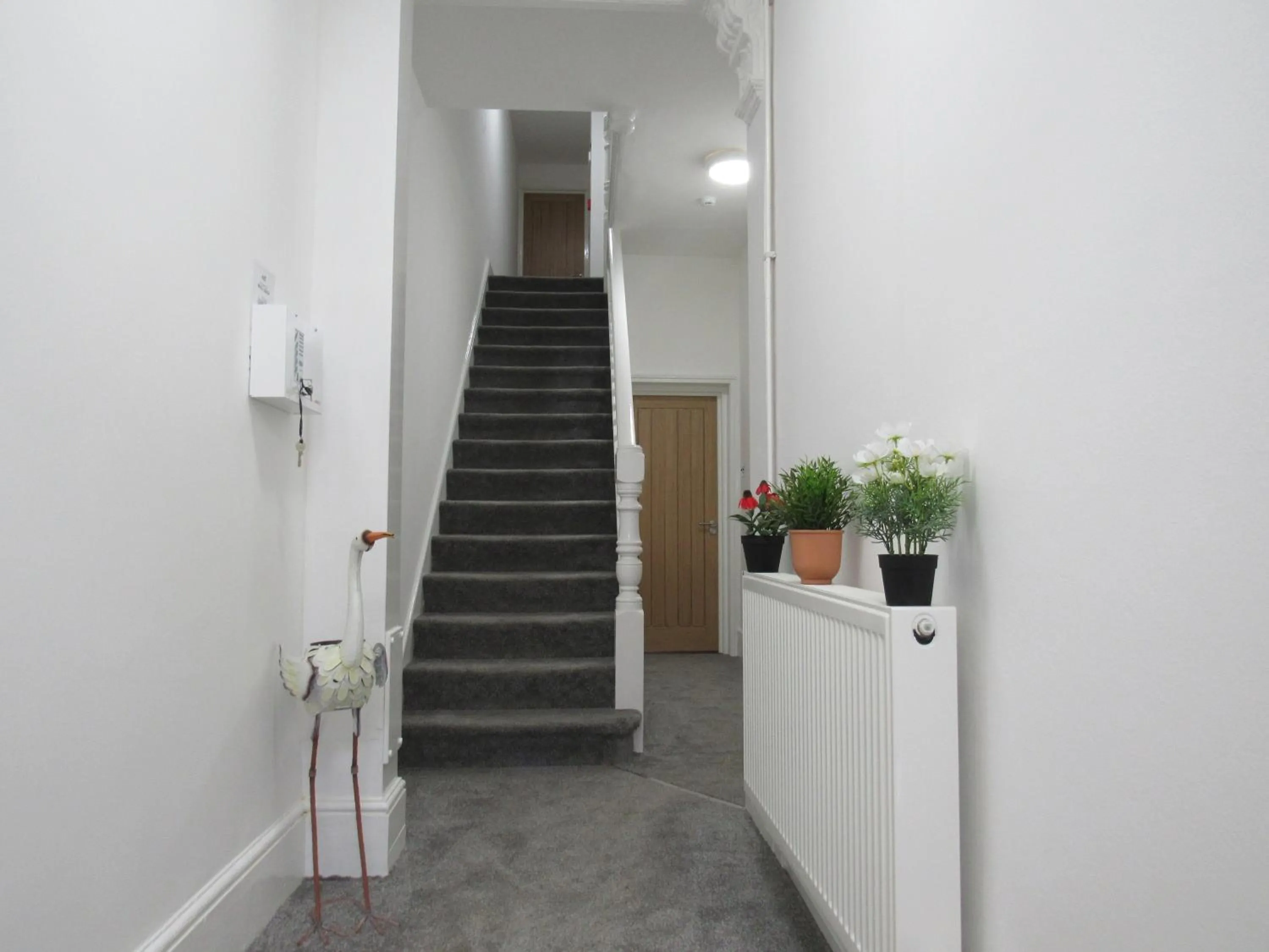 The Tas Suites - Tas Accommodations