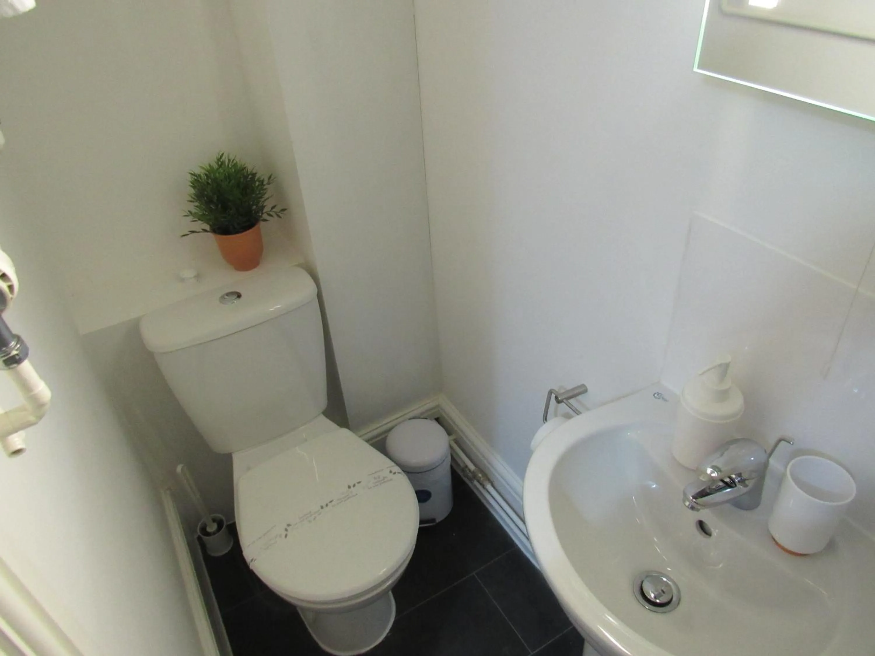 The Tas Suites - Tas Accommodations