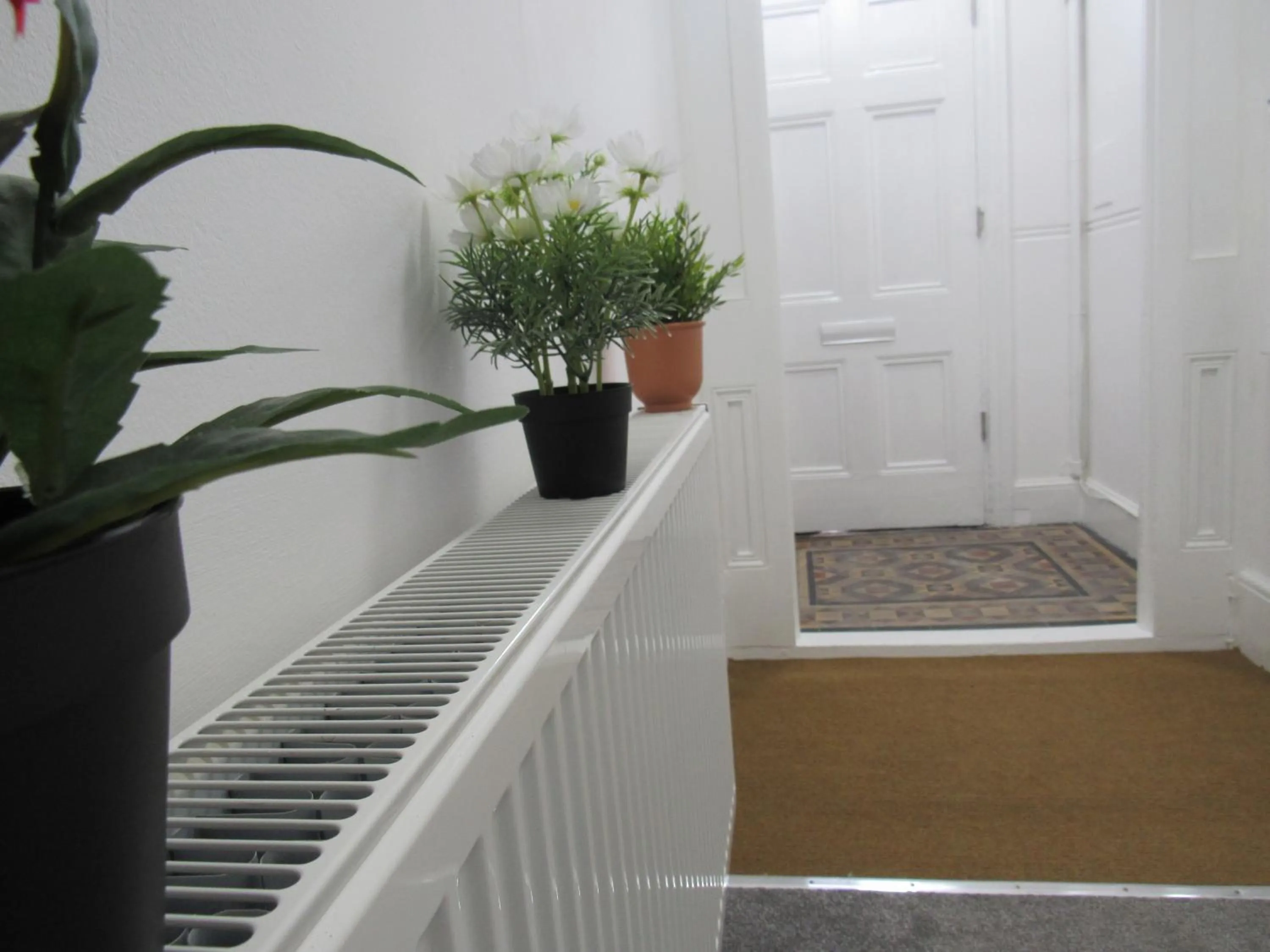 The Tas Suites - Tas Accommodations