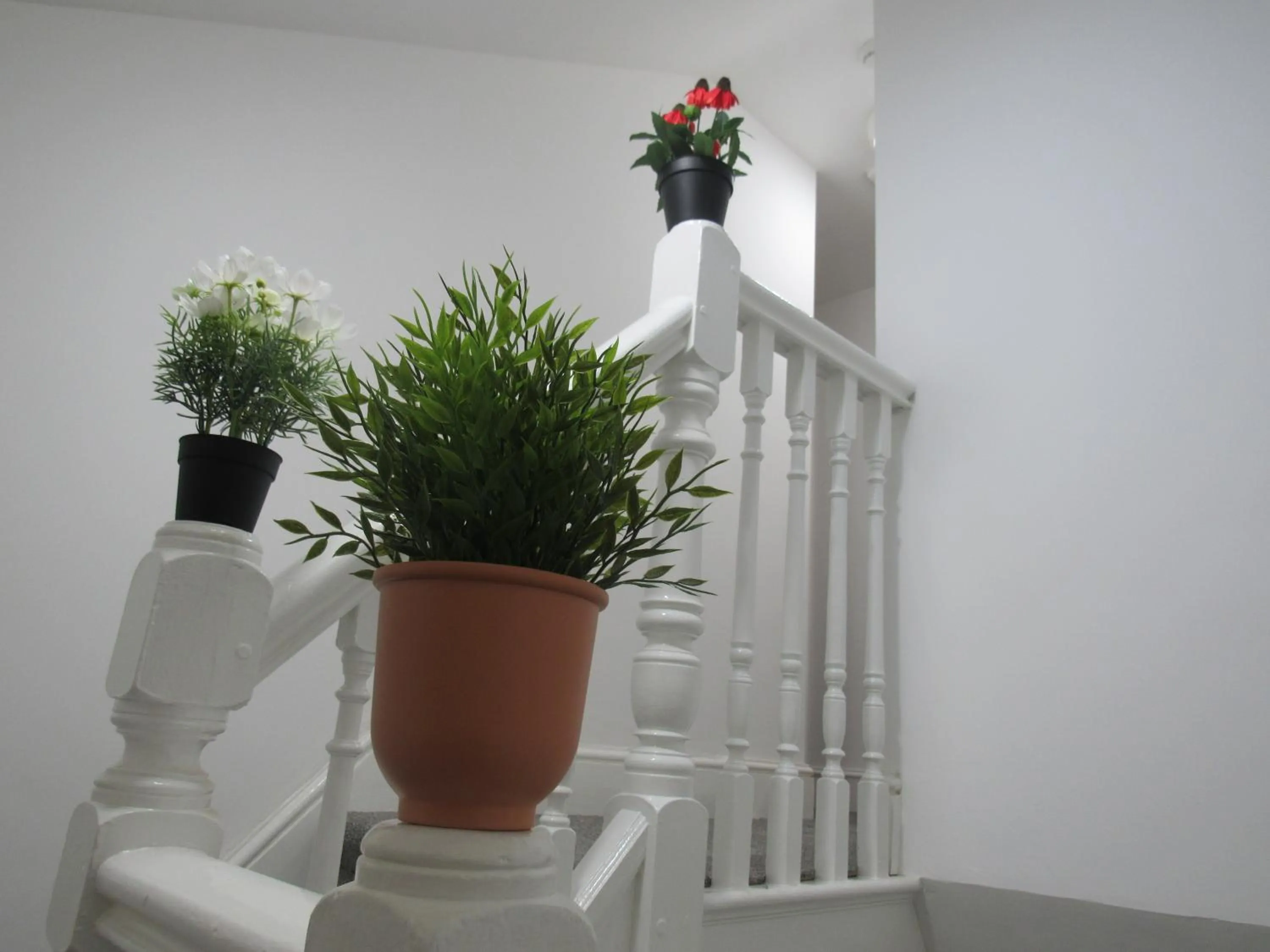 The Tas Suites - Tas Accommodations