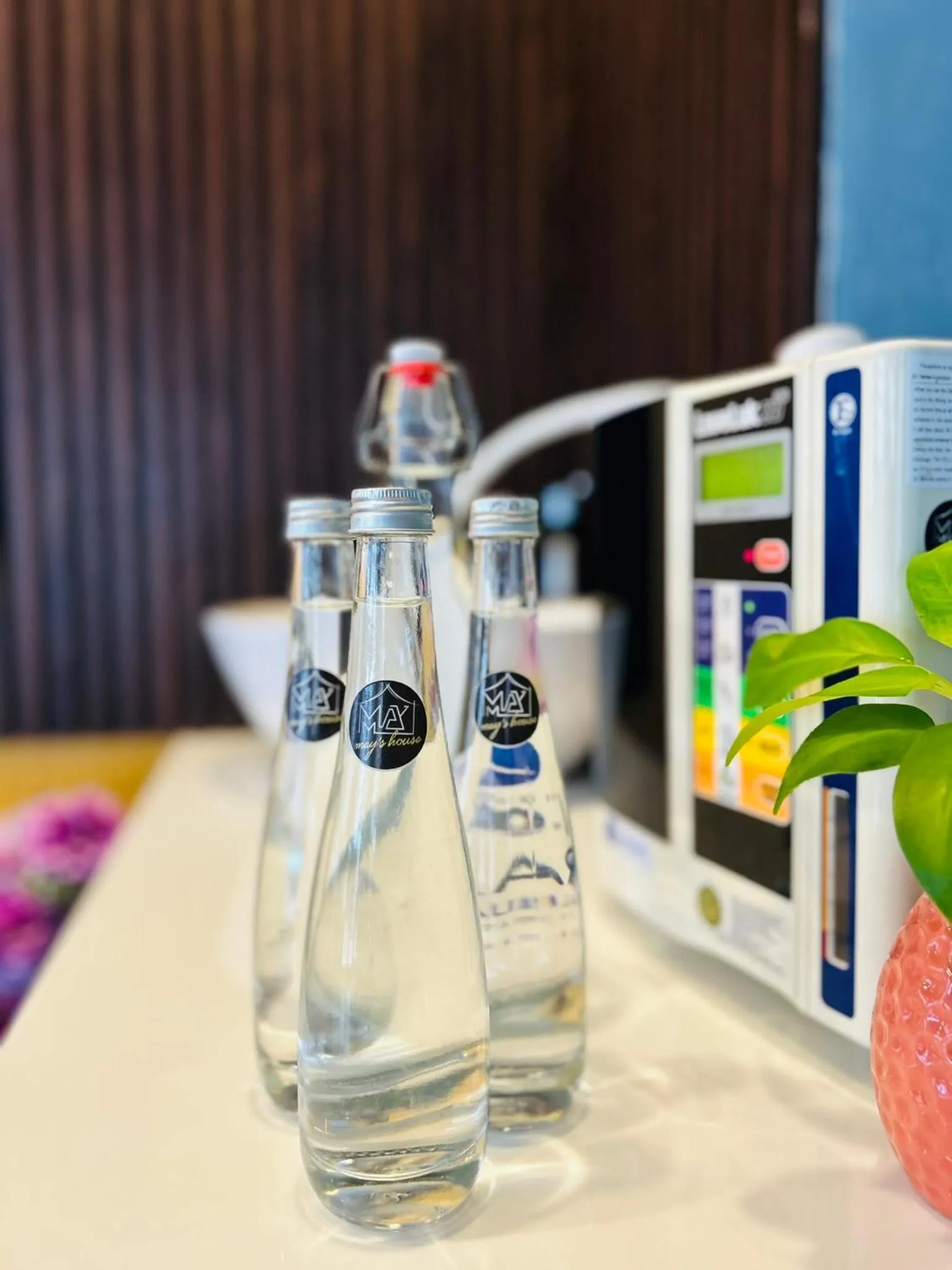 Food and drinks in May's House Hoi An