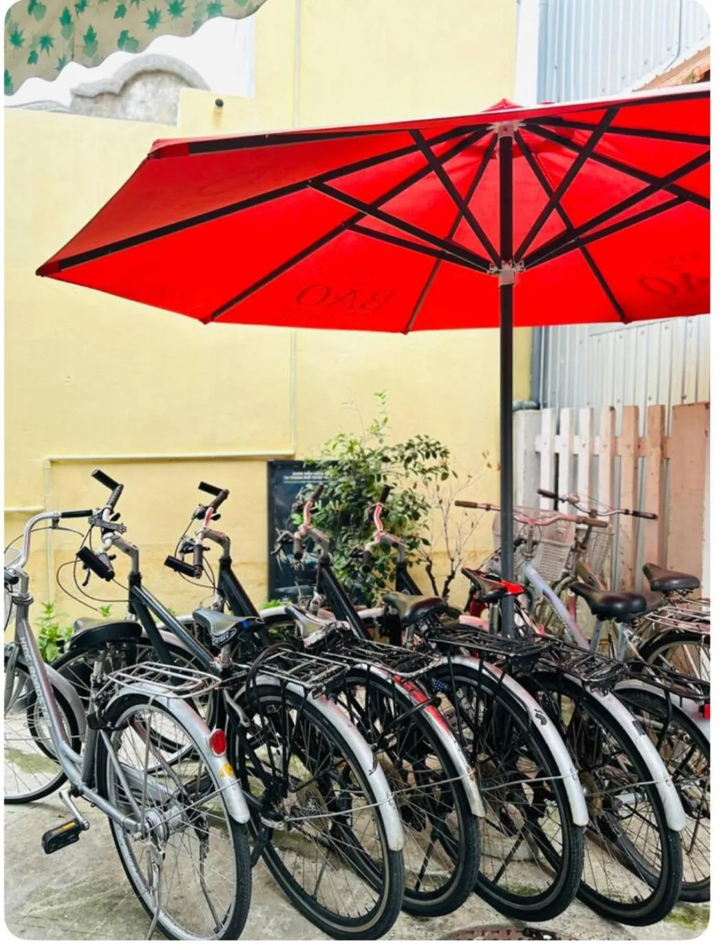 Cycling in May's House Hoi An