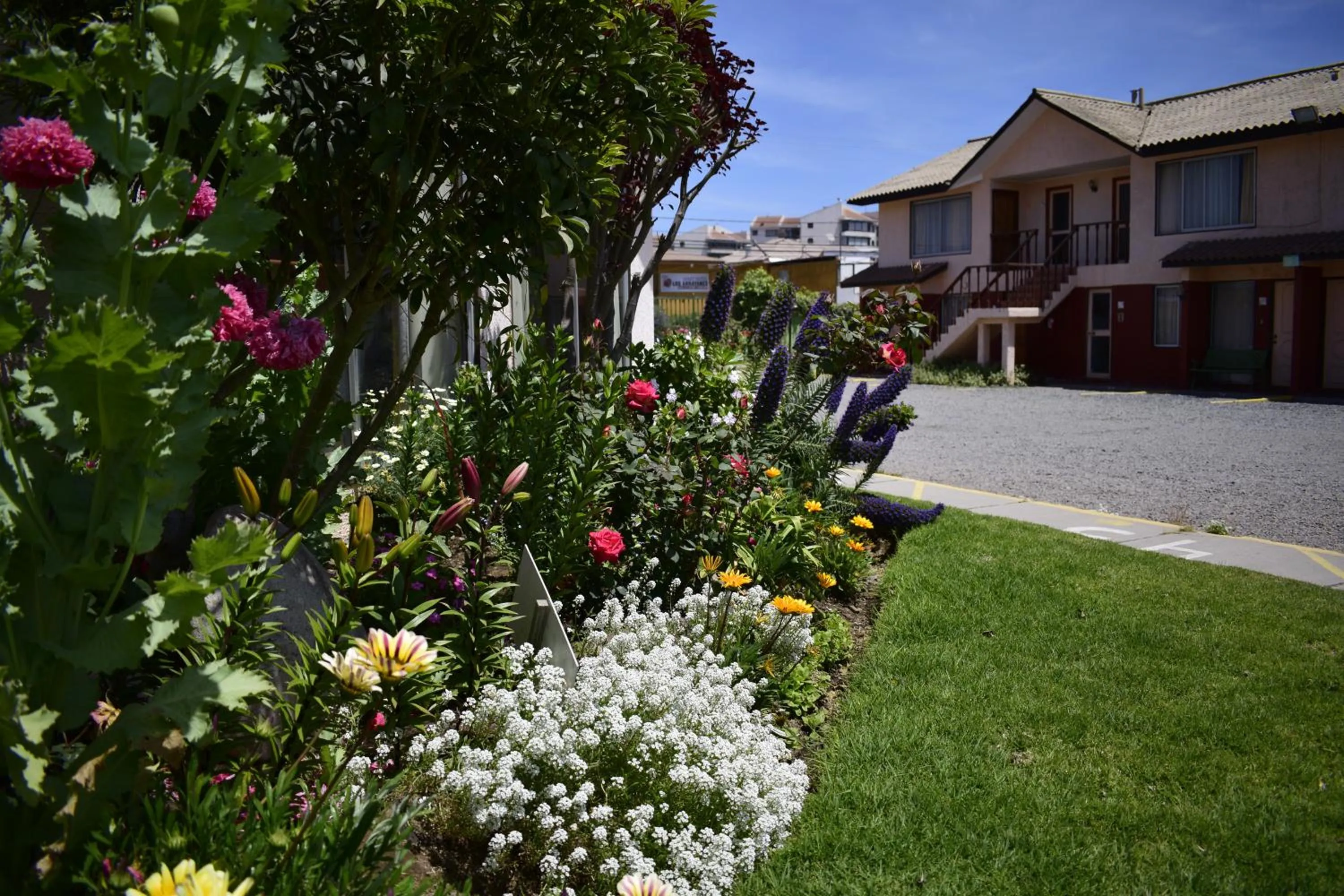 Garden in Apart Hotel Y Cabanas Vegasur