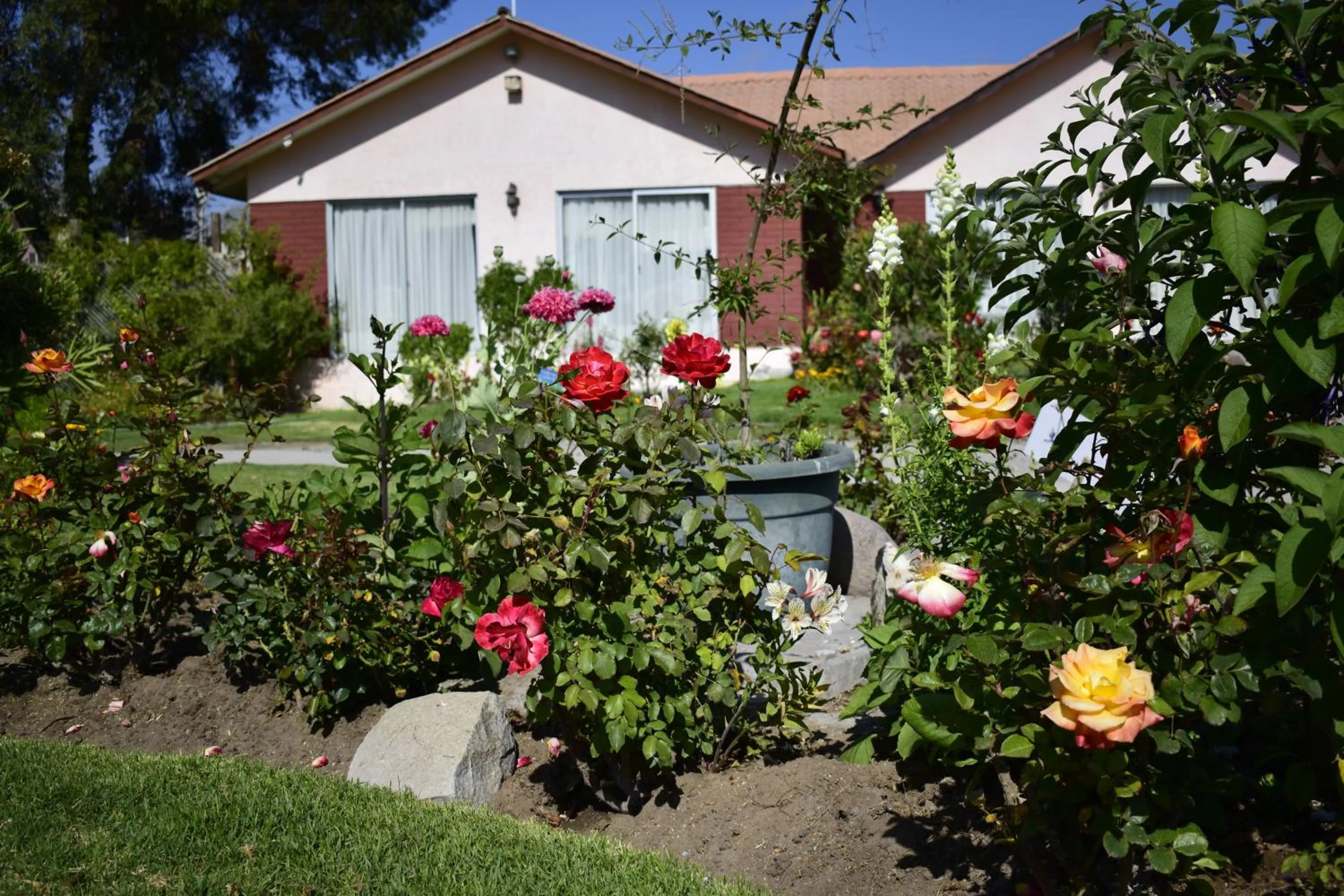 Garden in Apart Hotel Y Cabanas Vegasur
