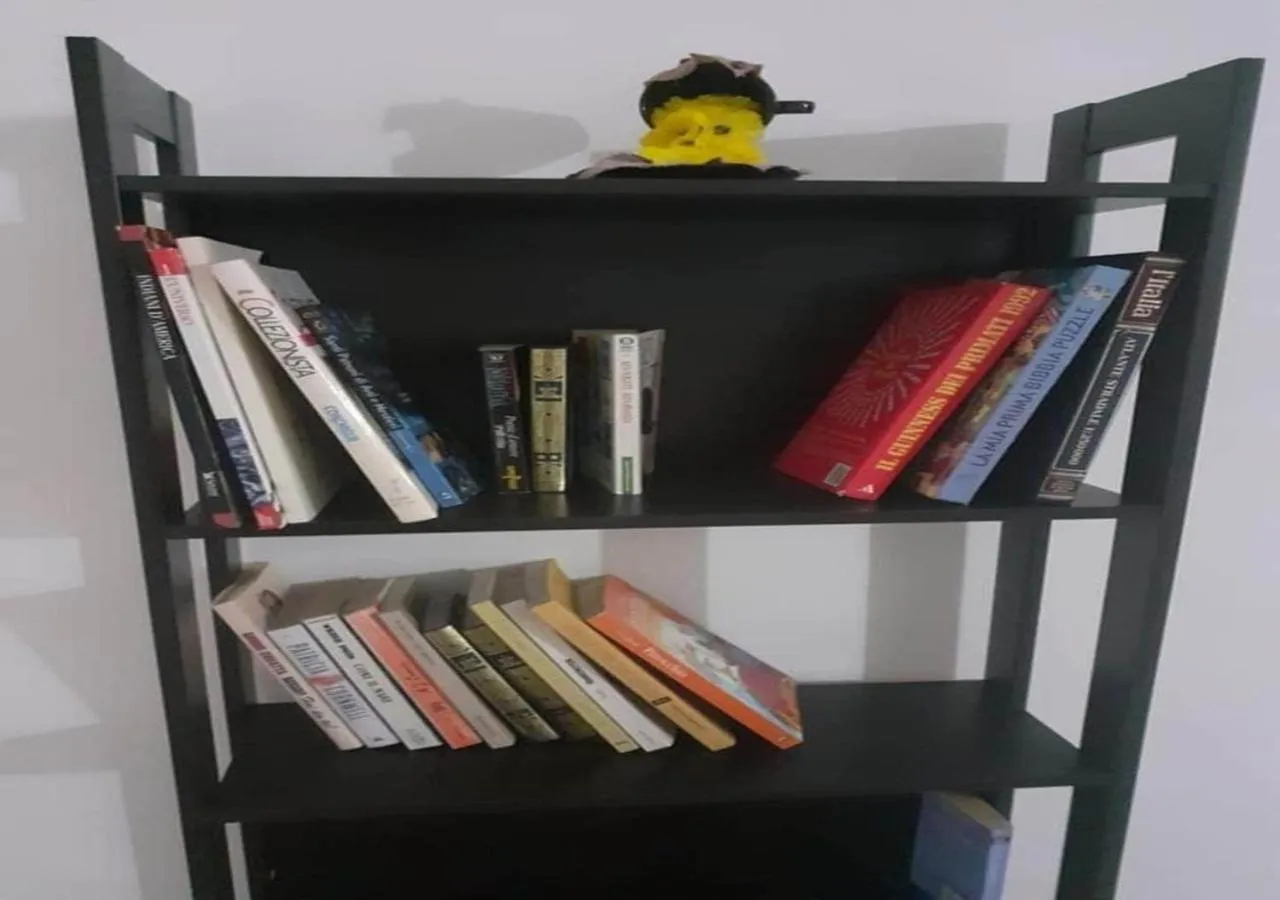 Activities in Vista Volo