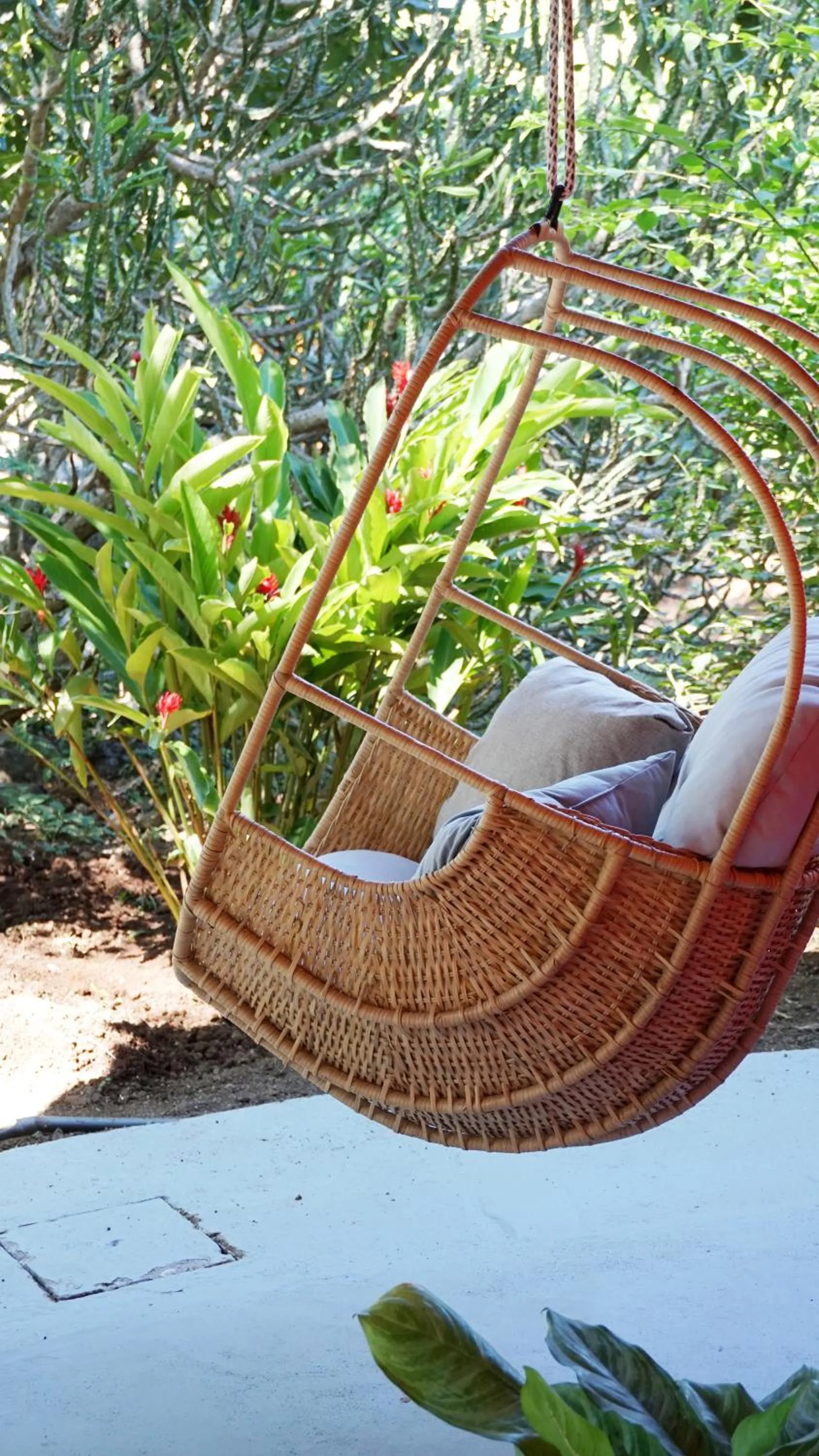 Garden view in SoulShine