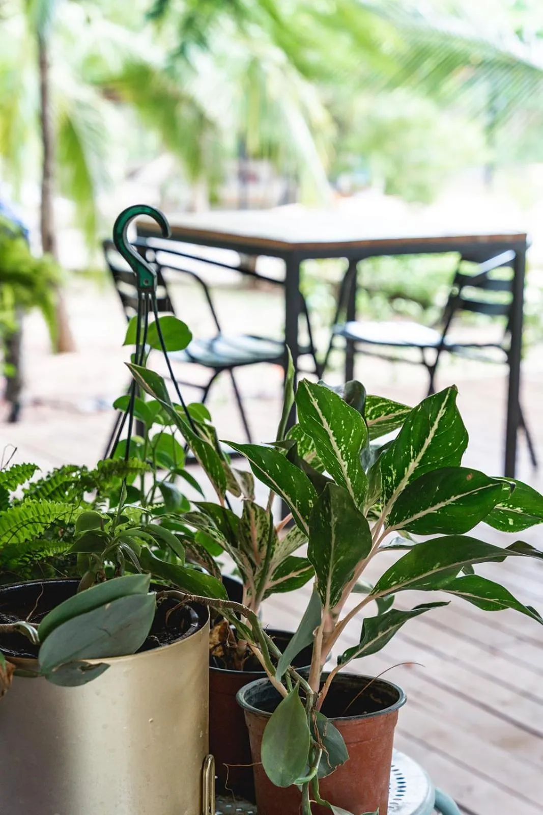 Restaurant/places to eat in SoulShine