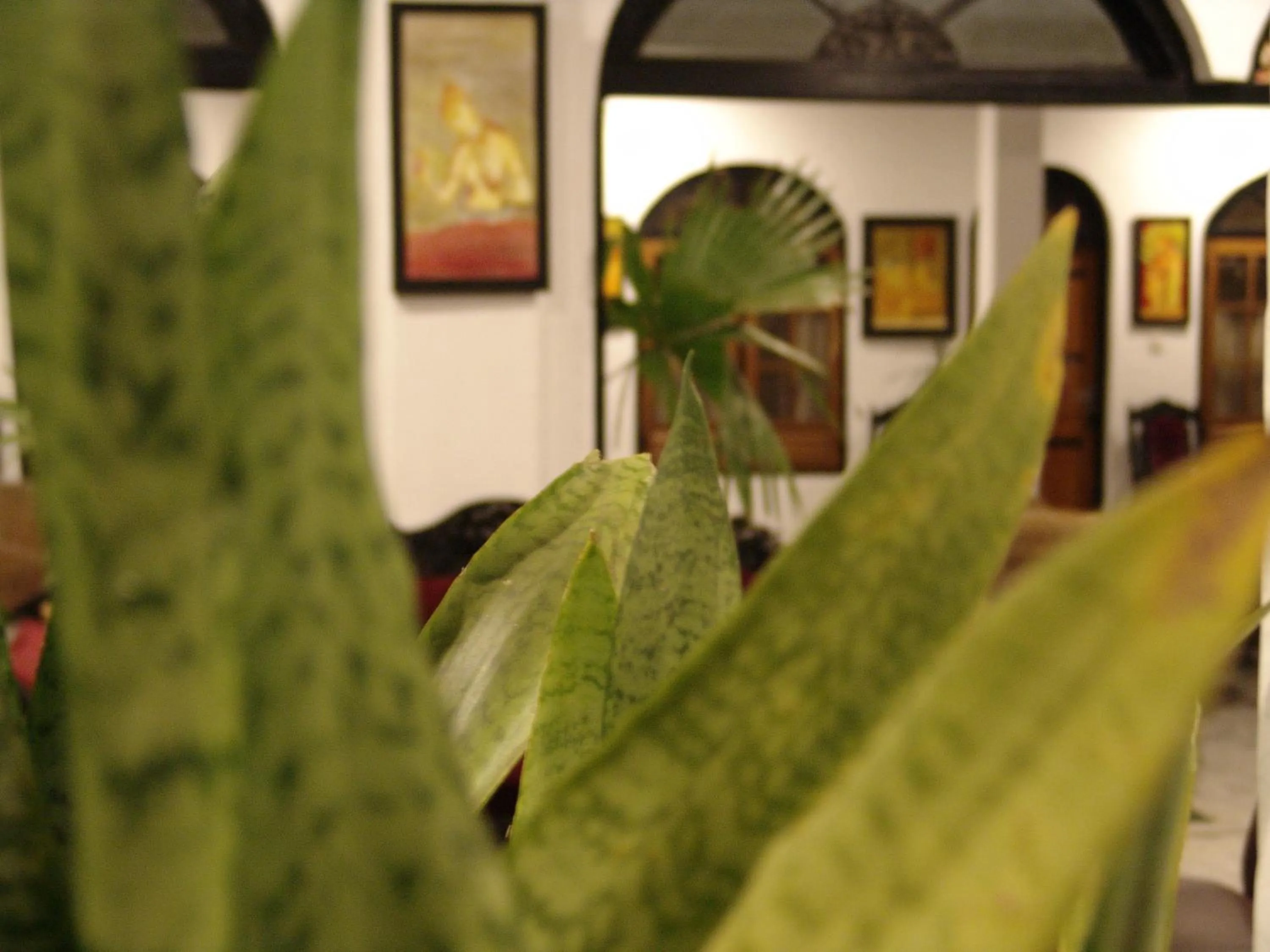 Other in Hotel Sunray