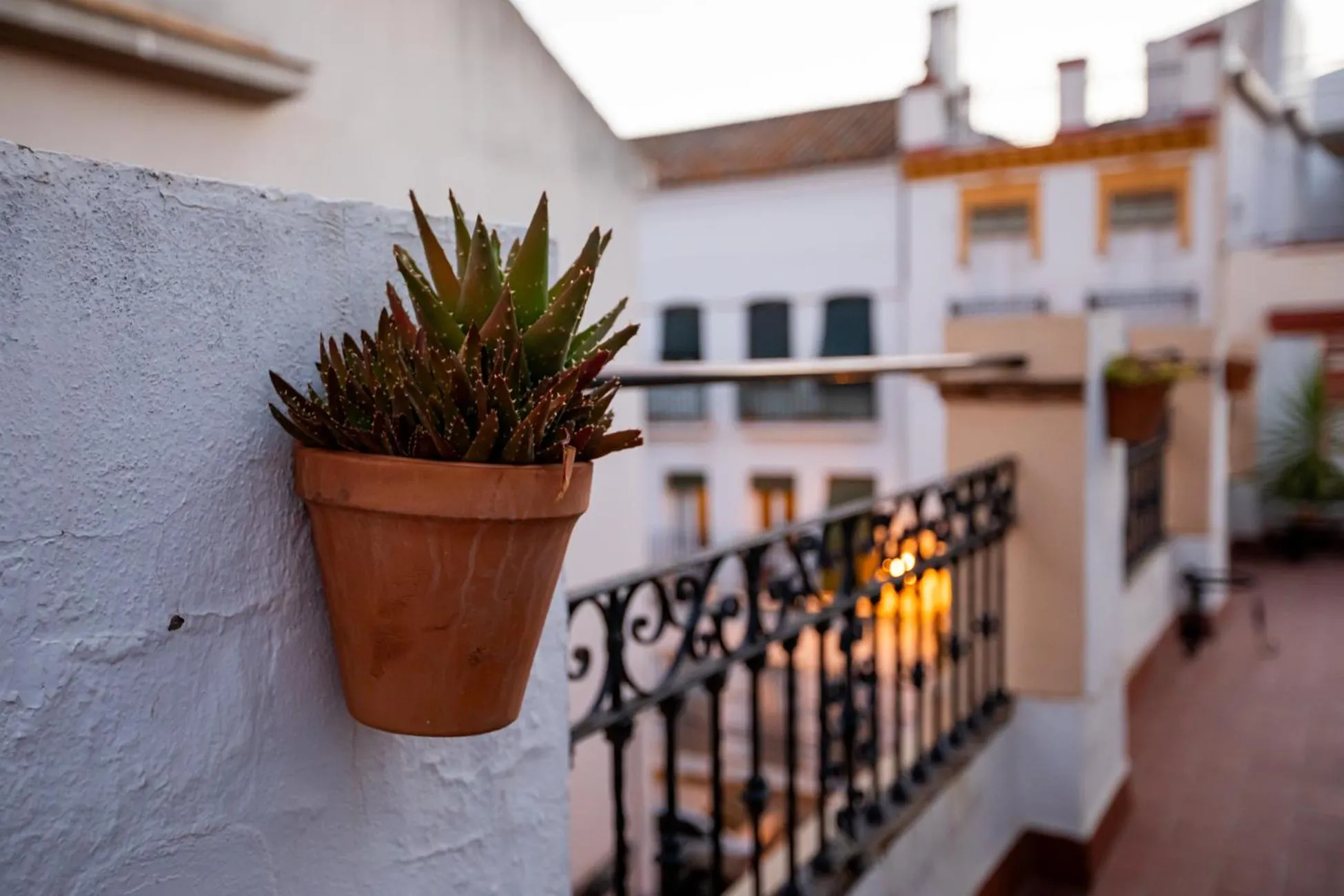 Apartamentos Doña Concha