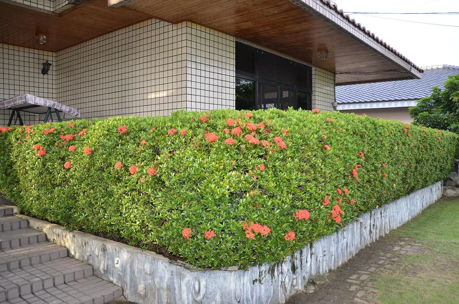 Kaohsiung Meinong Rabbit Paul Homestay B&B