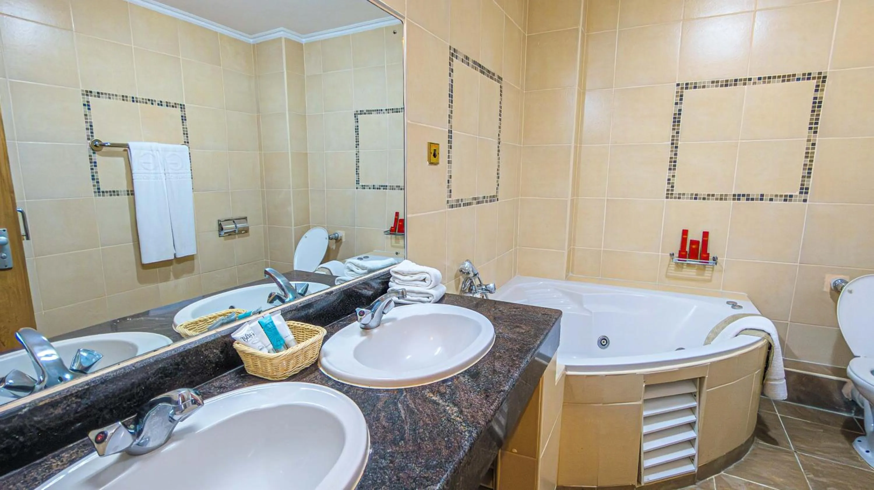 Bathroom in Muthu Silver Springs Hotel