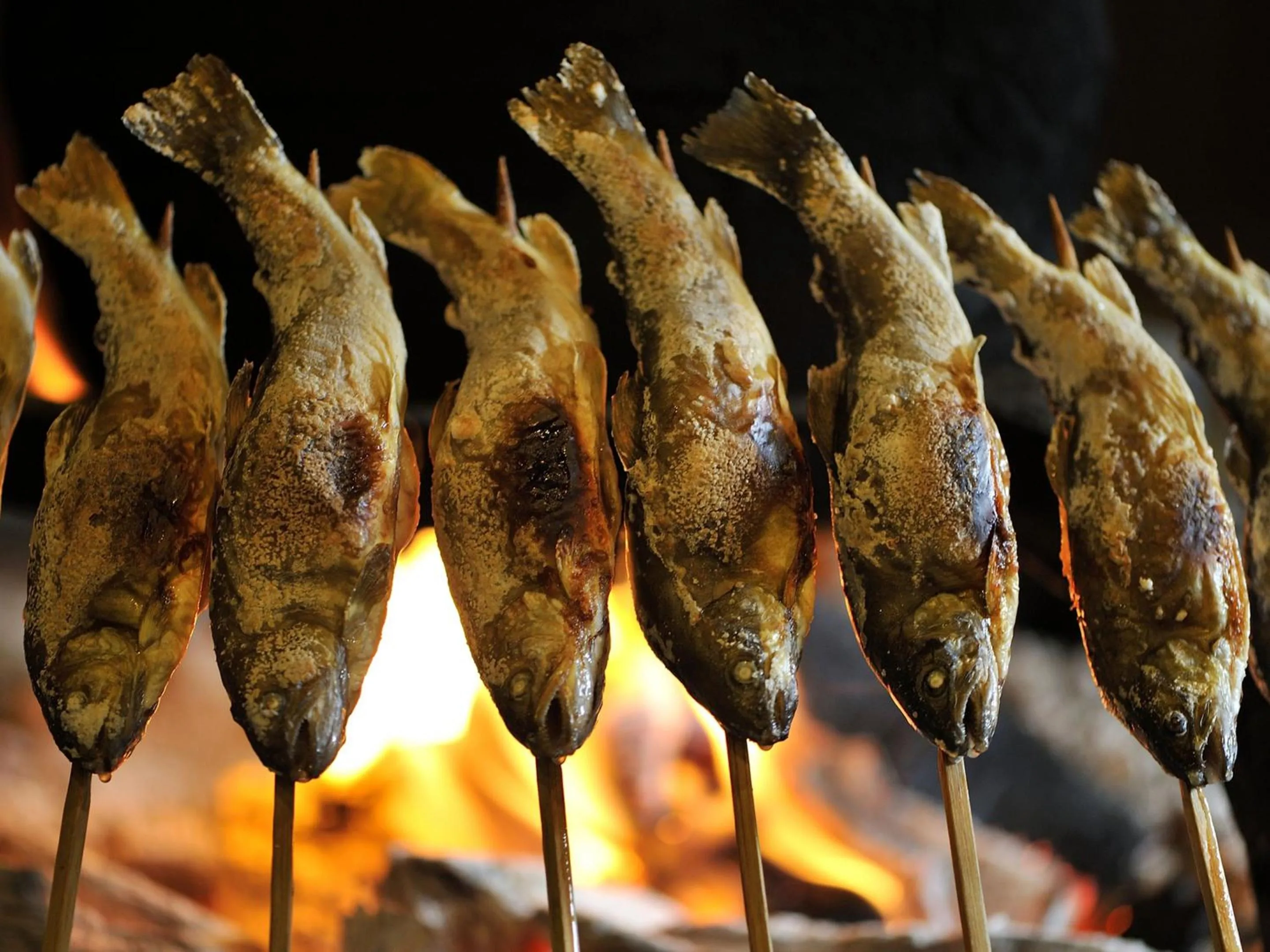 Entertainment in Urabandai Lake Resort Geihinkan Nekoma Rikyu