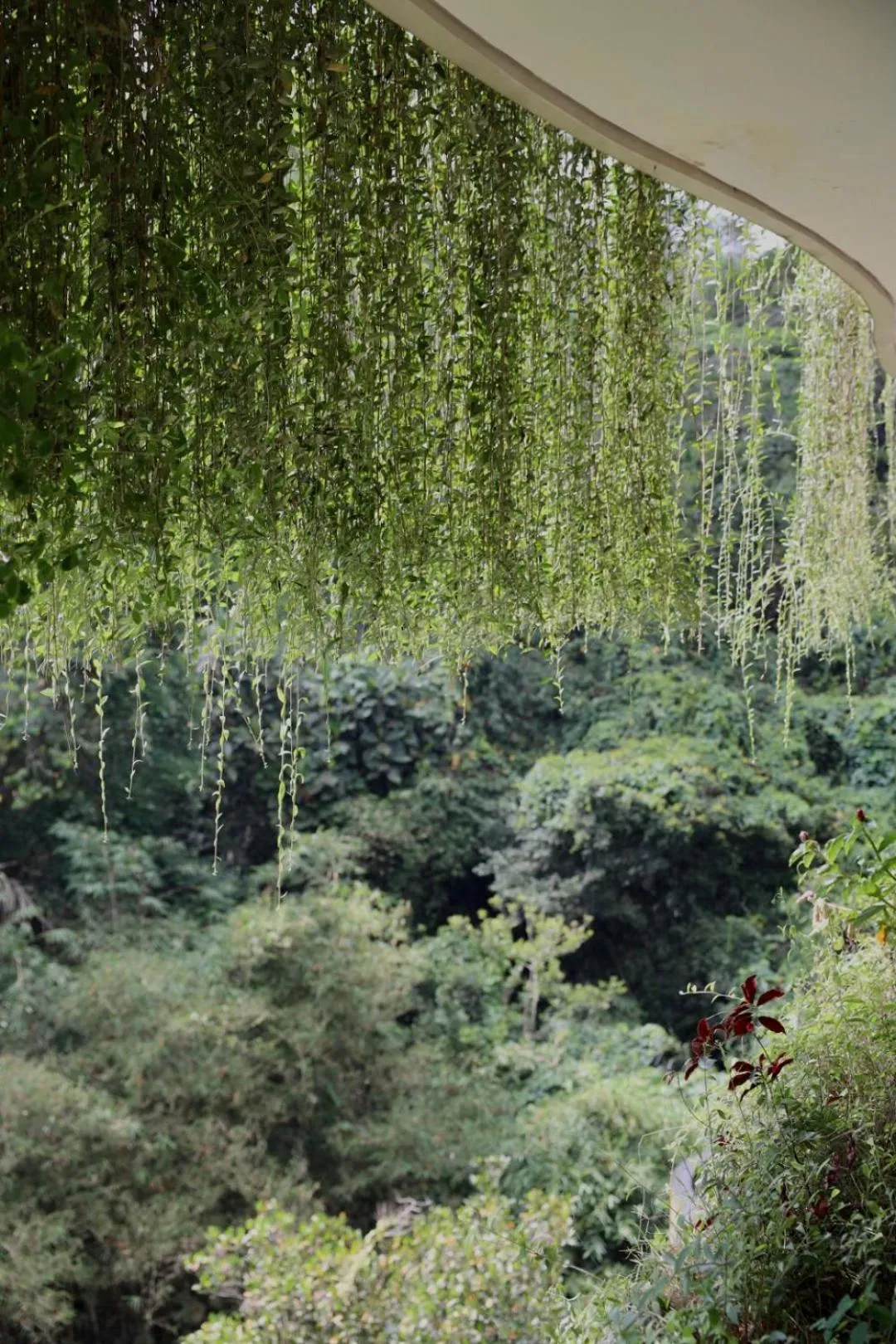 View (from property/room) in Kenran Resort Ubud By Soscomma