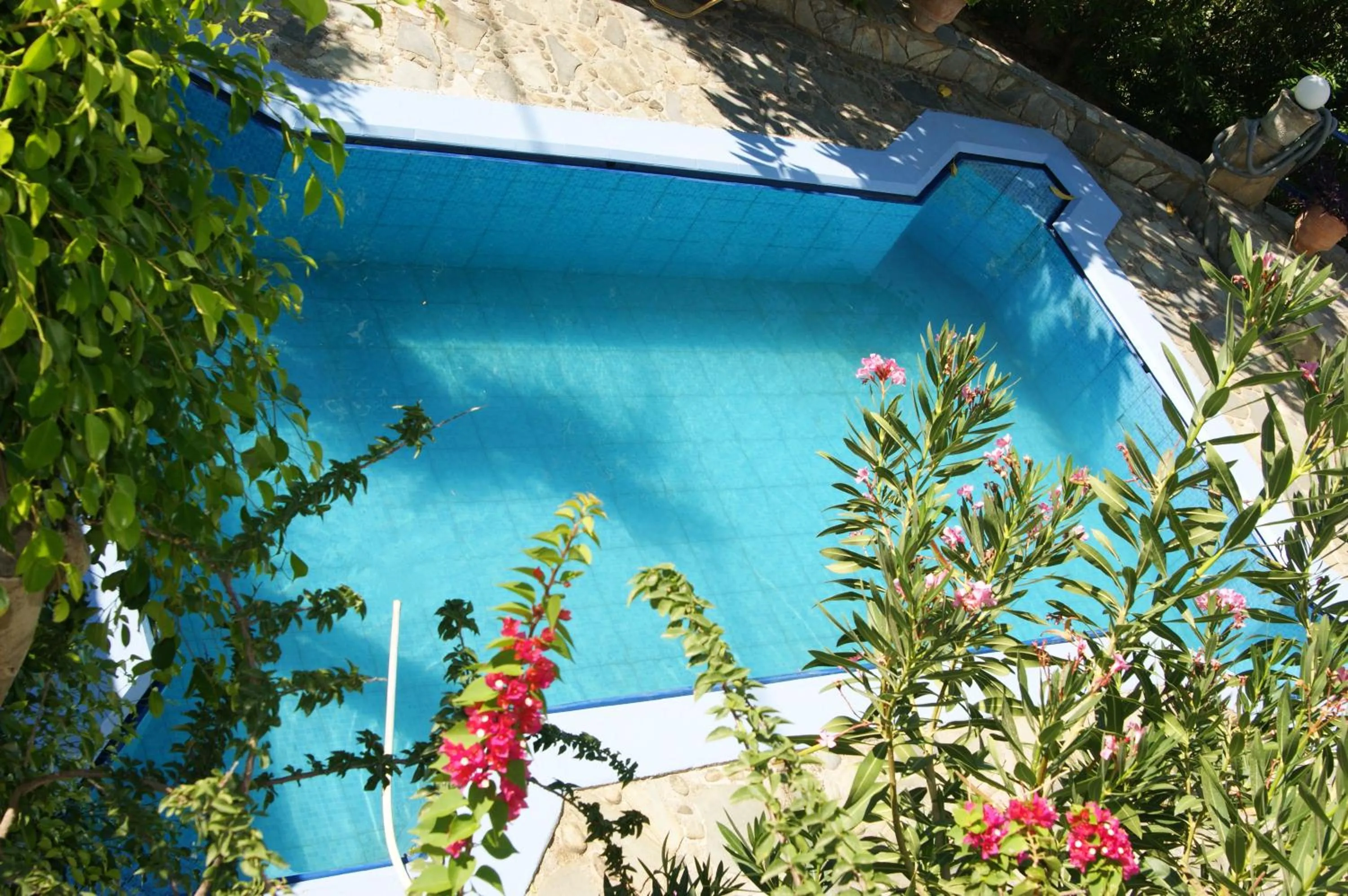 Garden in Lofos Hotel