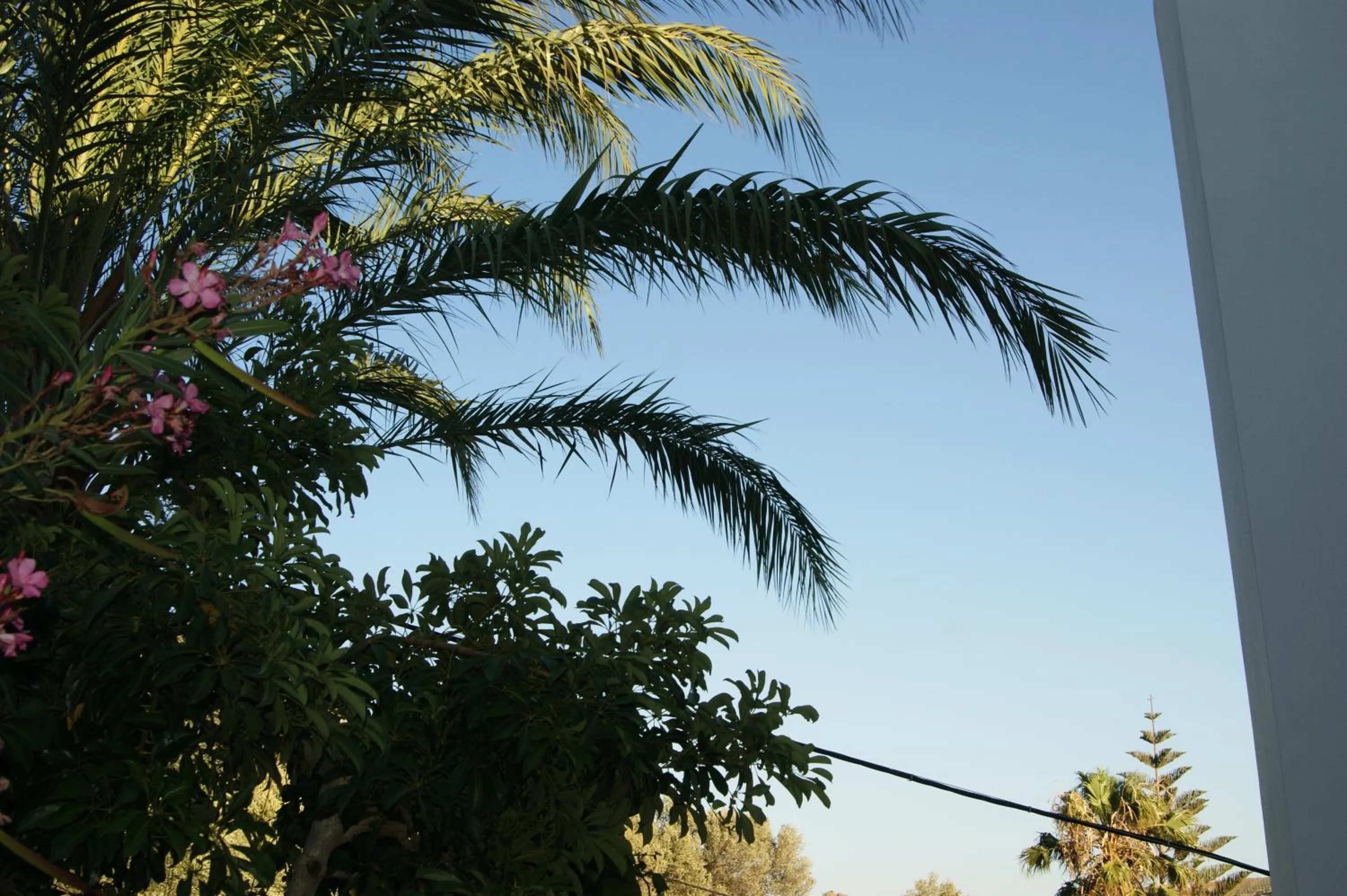 Garden in Lofos Hotel