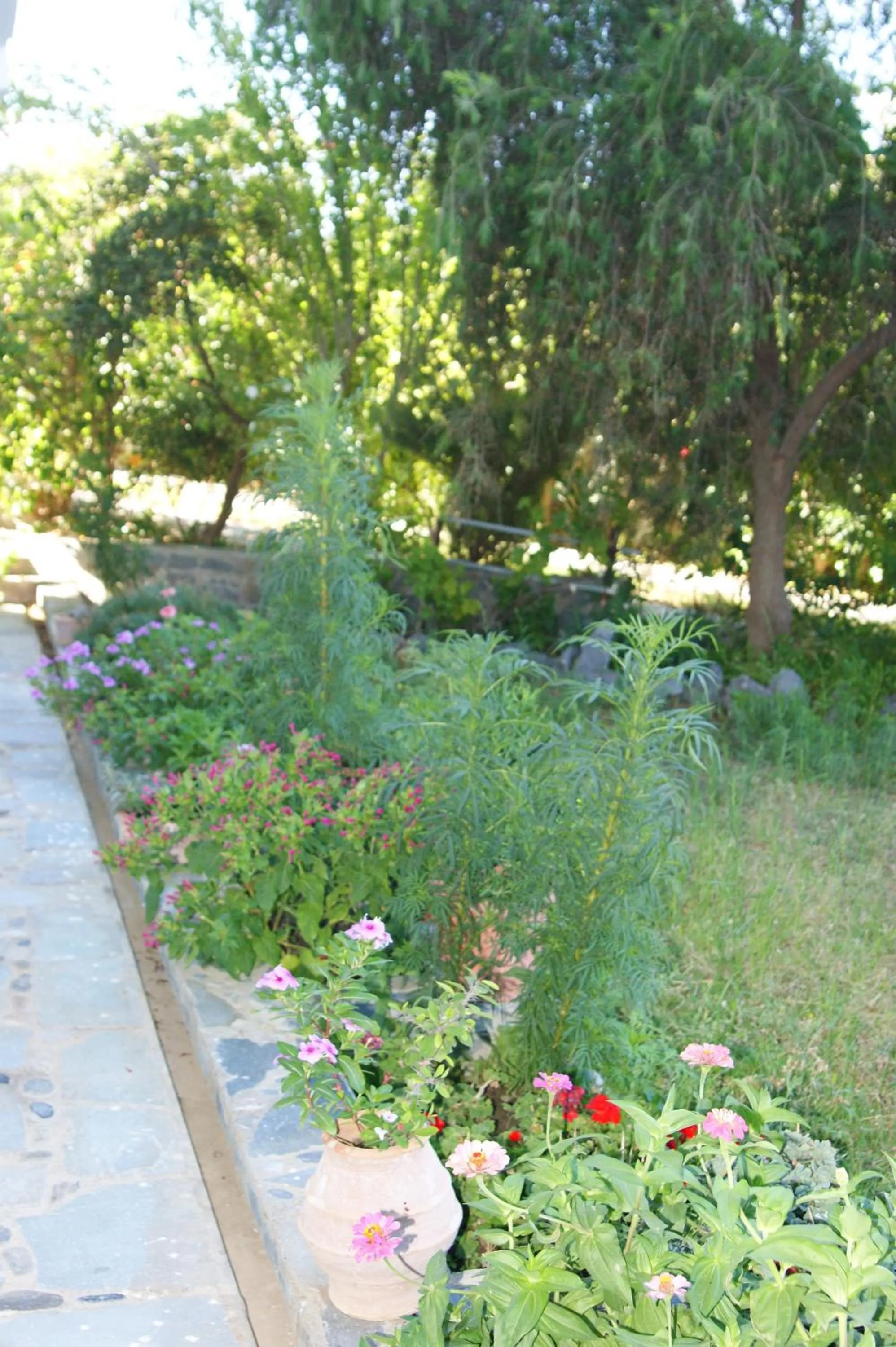 Garden in Lofos Hotel