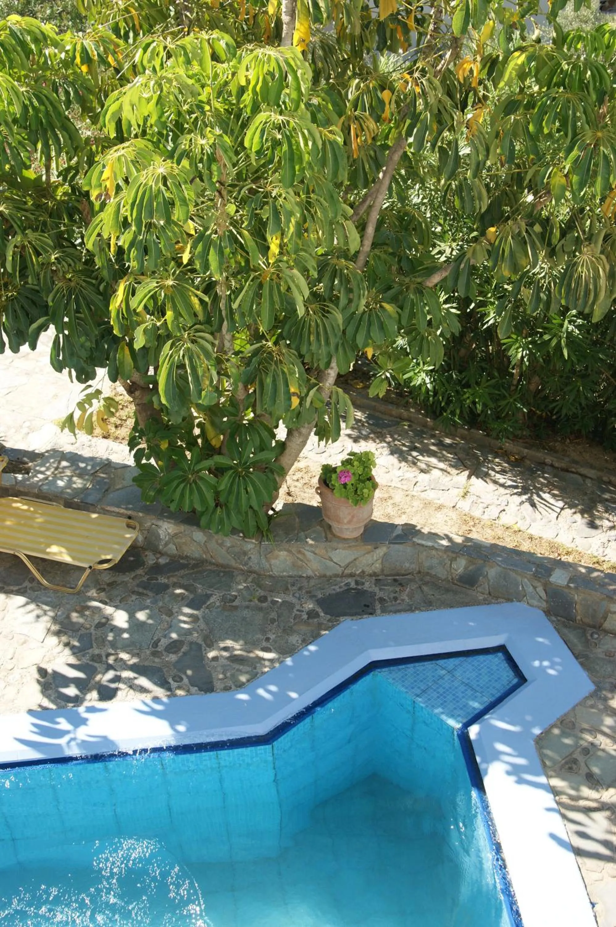 Swimming pool in Lofos Hotel