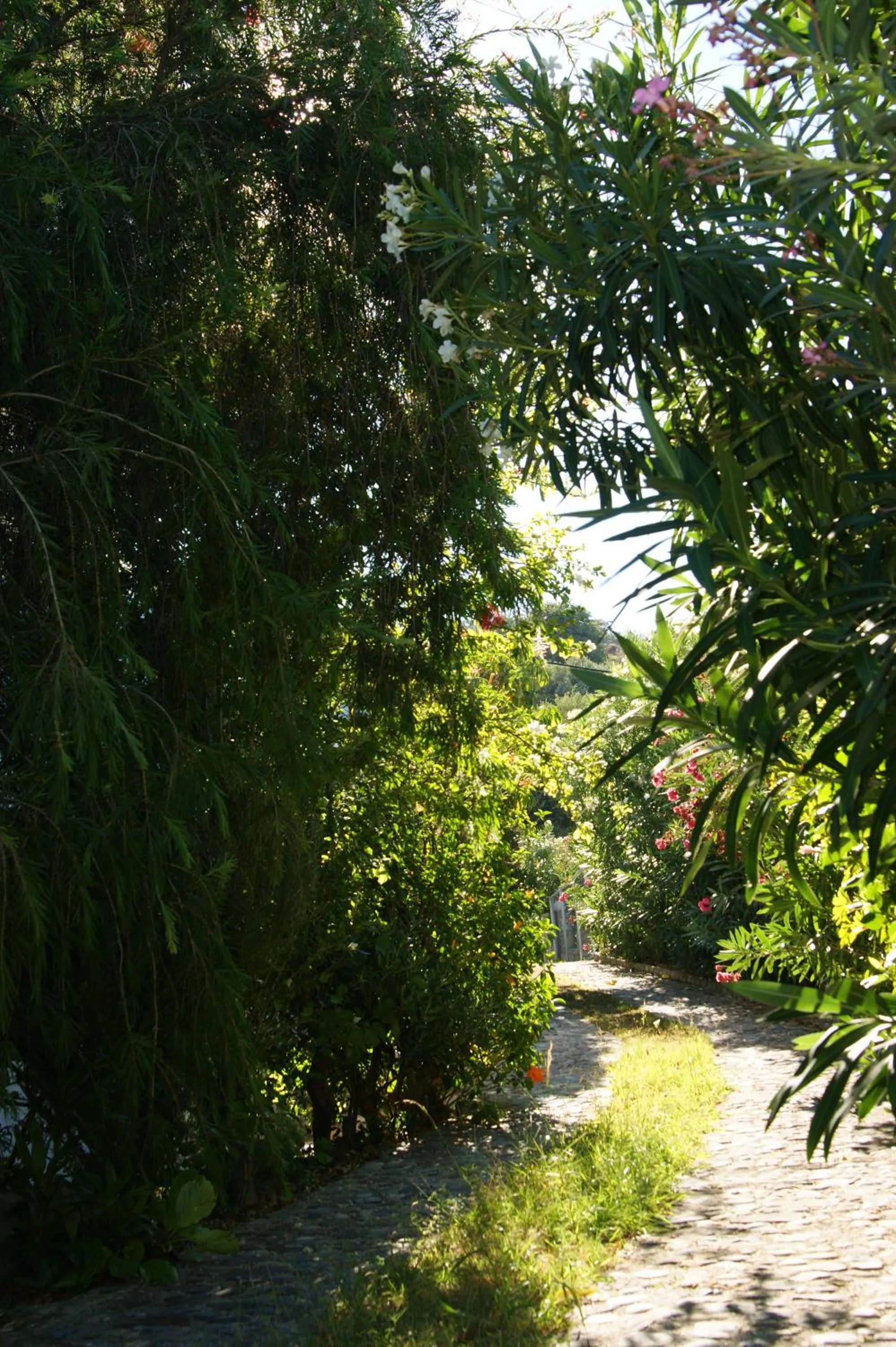 Facade/entrance in Lofos Hotel