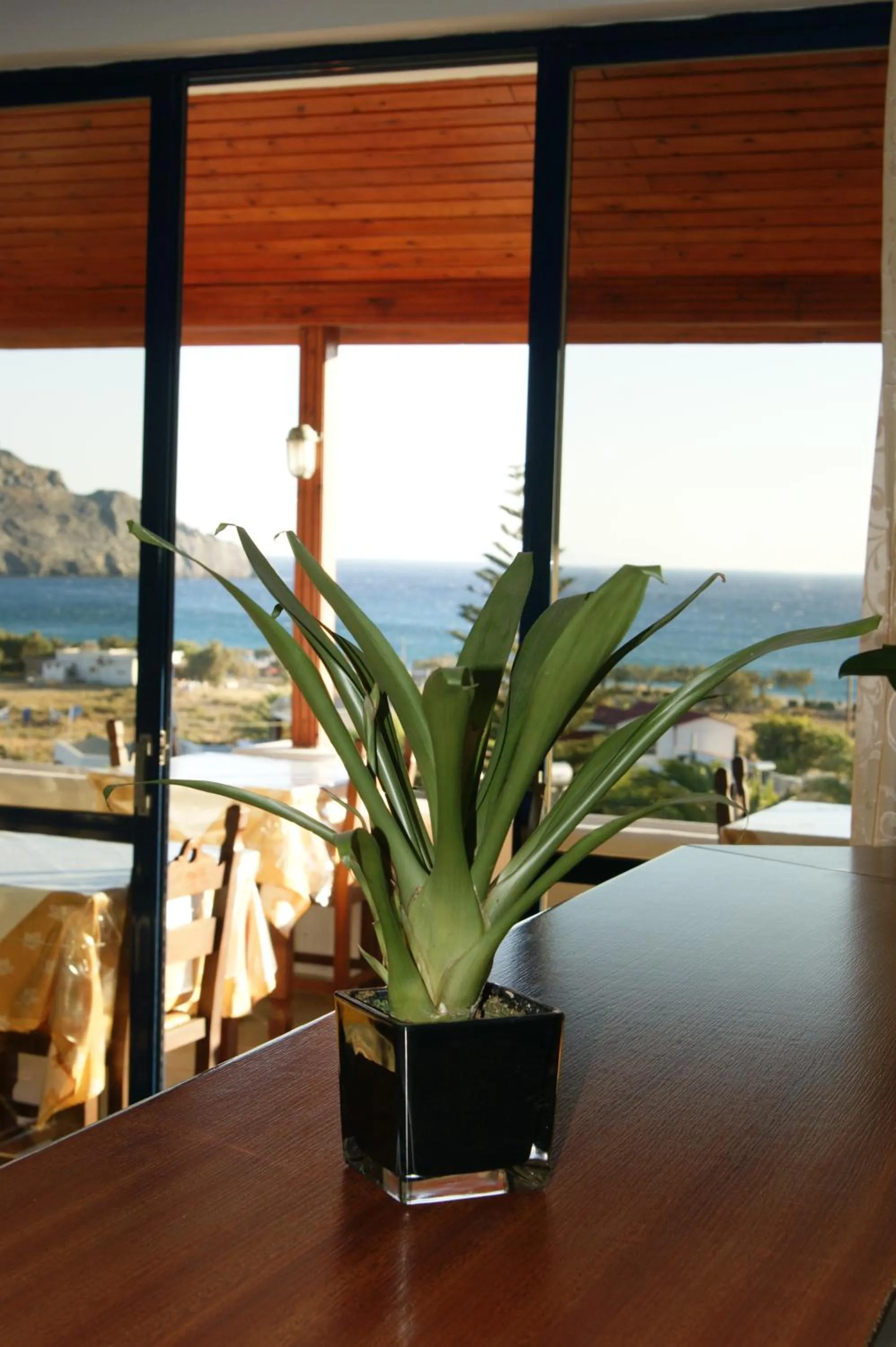 View (from property/room) in Lofos Hotel